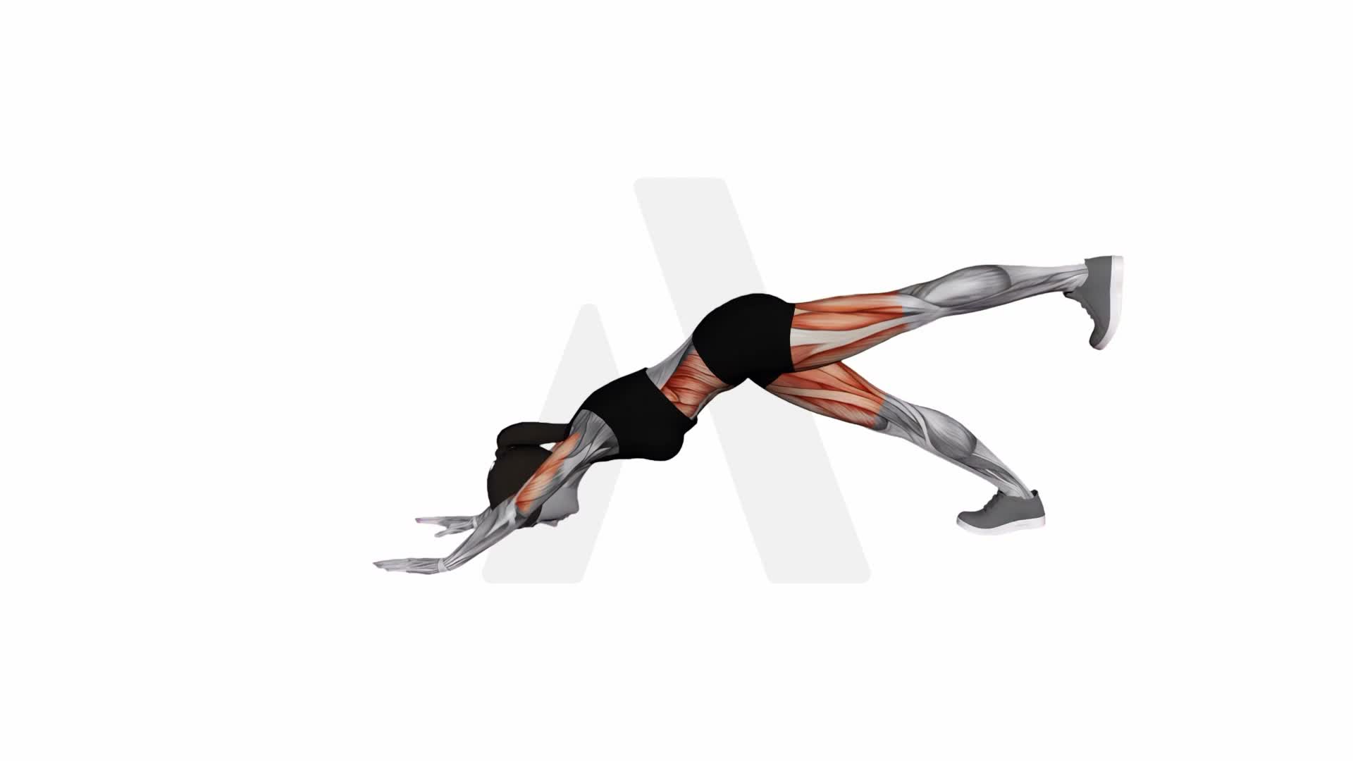 3 Leg Dog Pose exercise demonstration