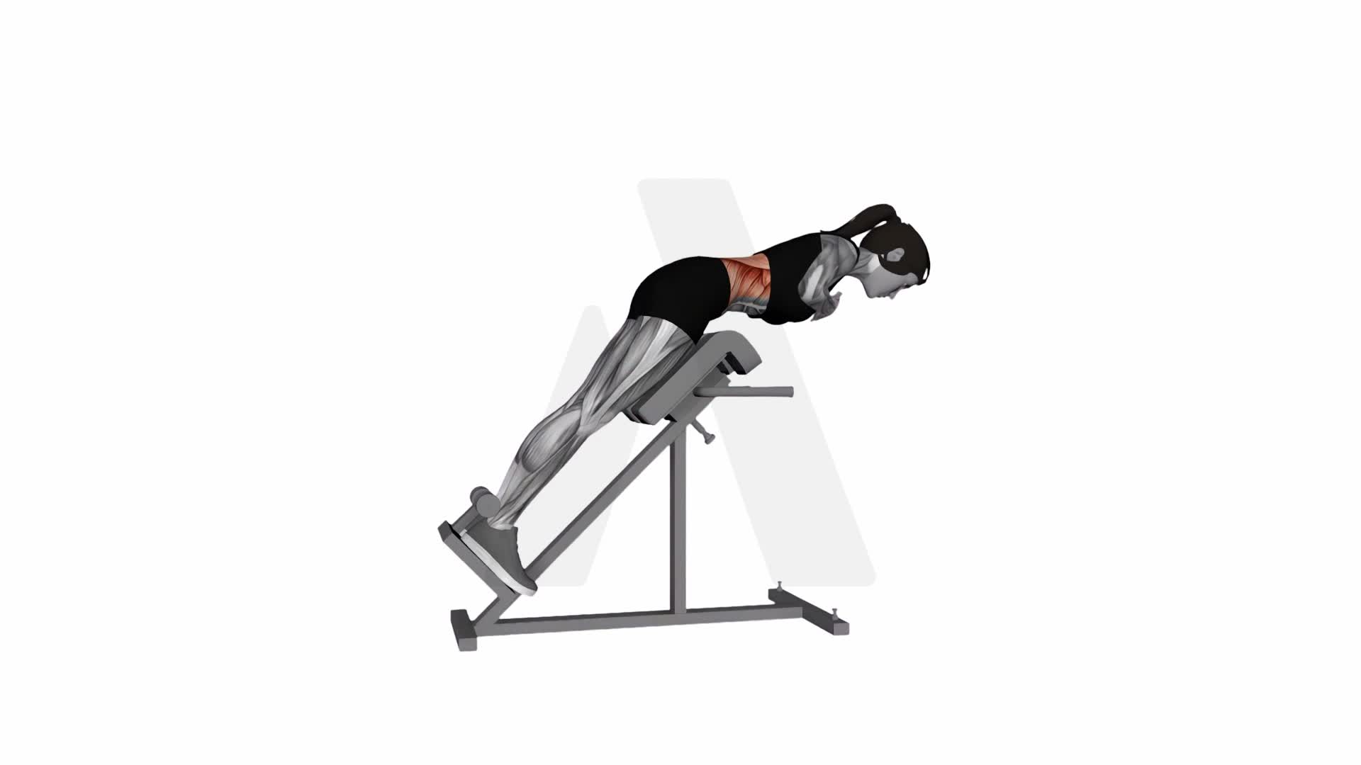 45 Degree Hyperextension (Arms In Front Of Chest) exercise demonstration