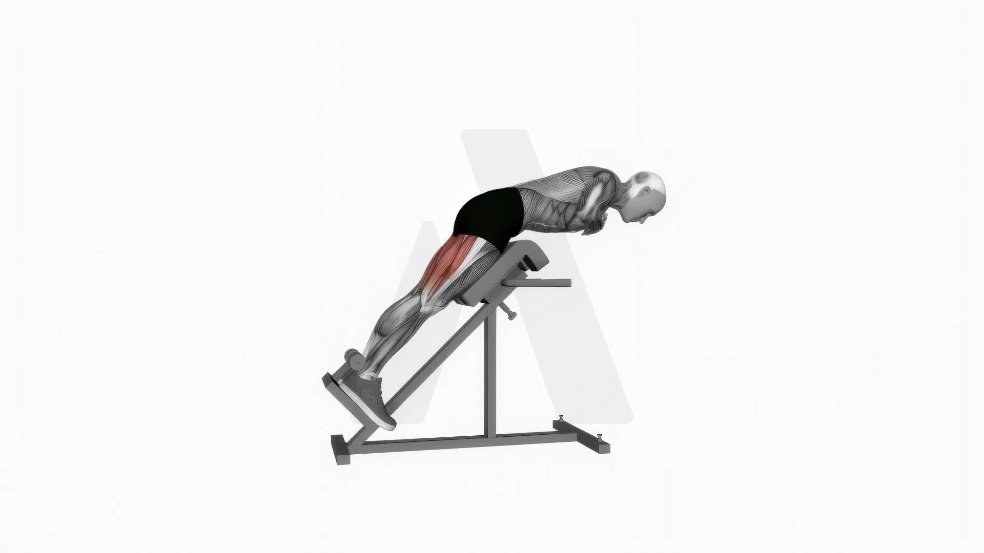 45 Degree Hyperextension Arms To Chest exercise demonstration