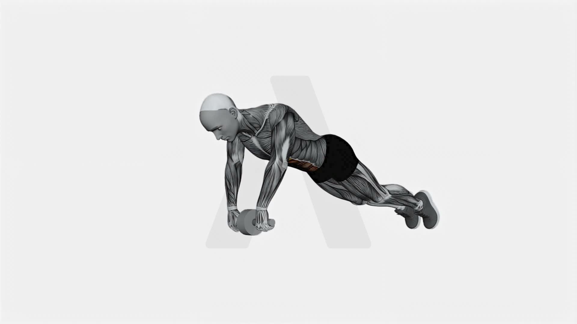 Ab Wheel Plank exercise demonstration