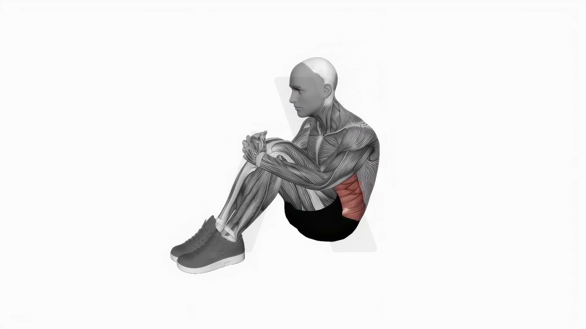 Abdominal Stretch exercise demonstration