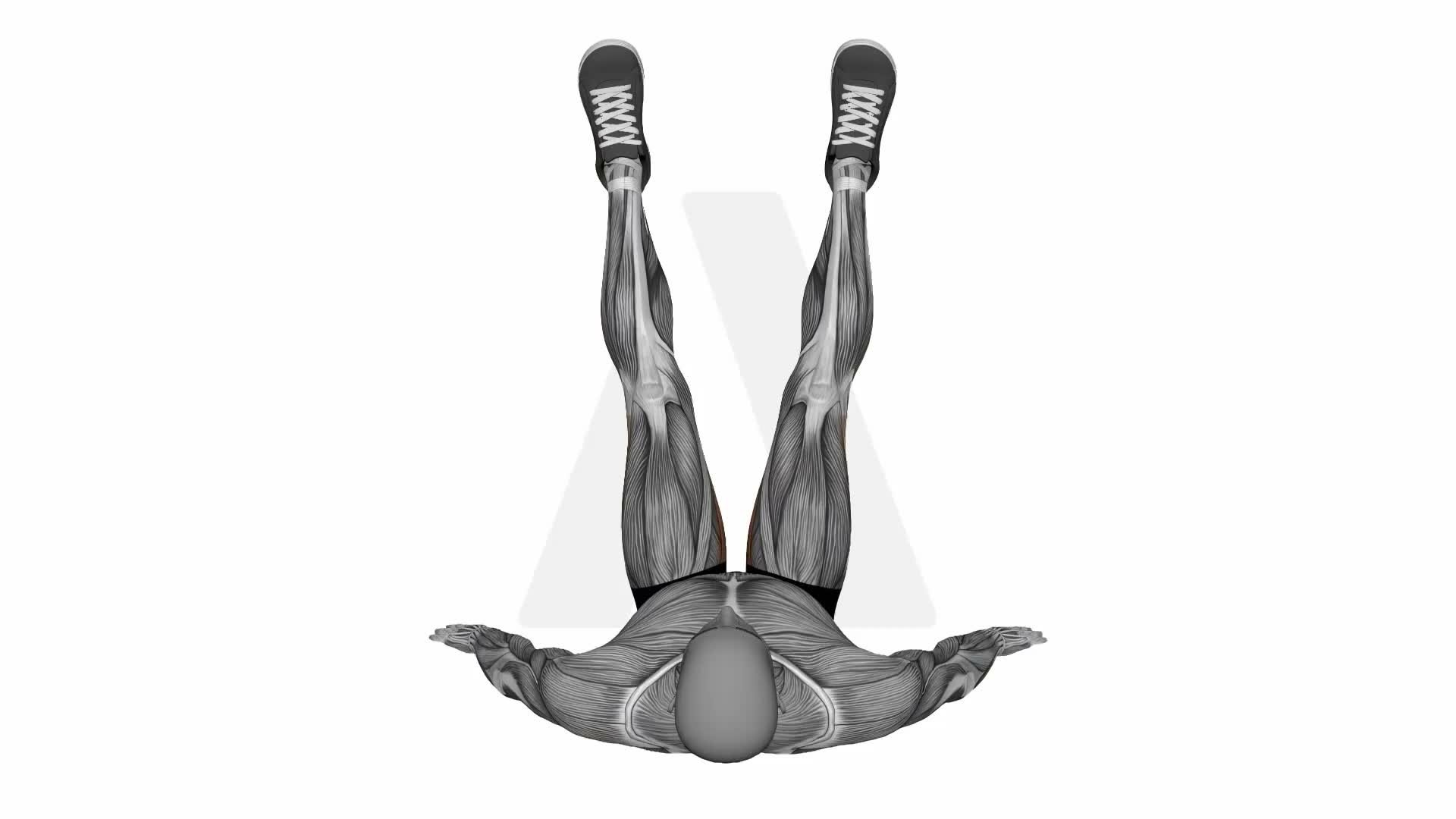 Adductor Dynamic Stretch exercise demonstration