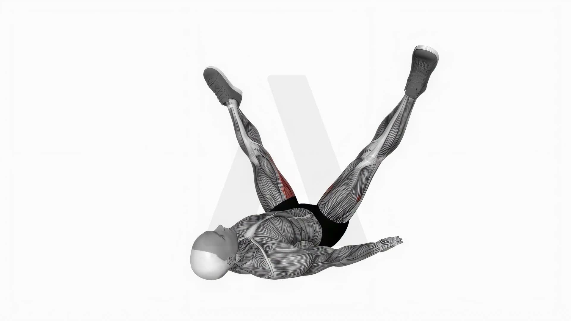 Adductor Stretch exercise demonstration