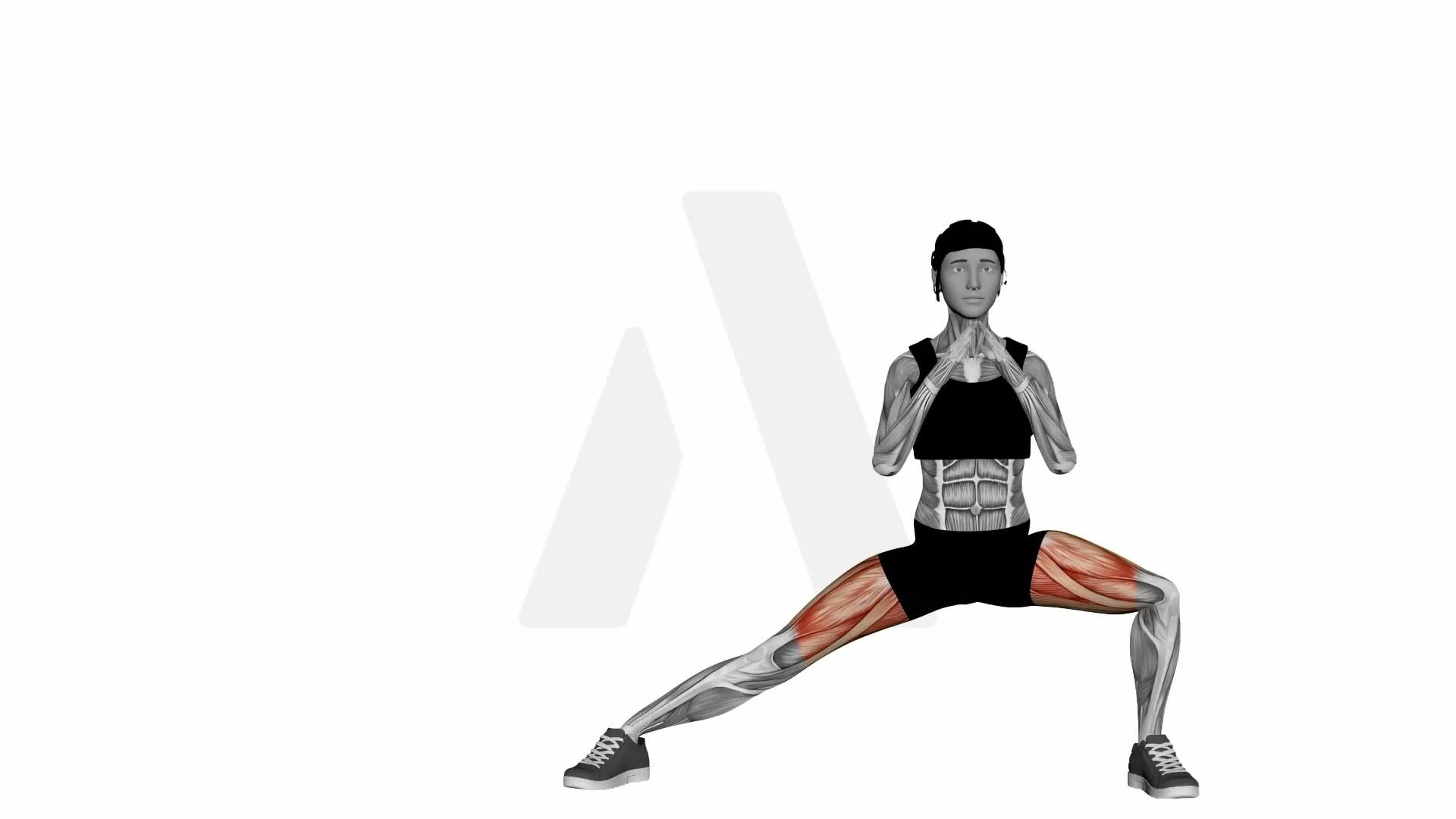 Adductor Stretch Side Standing exercise demonstration