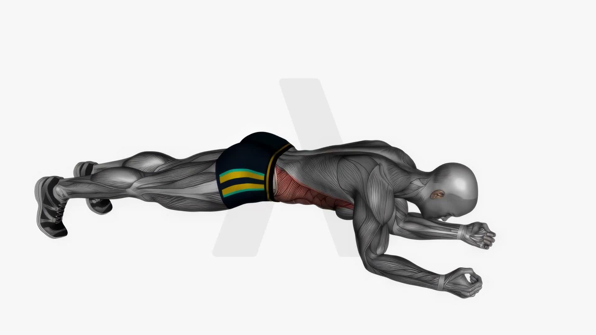 Alternate Arm Leg Plank Rest Pause exercise demonstration