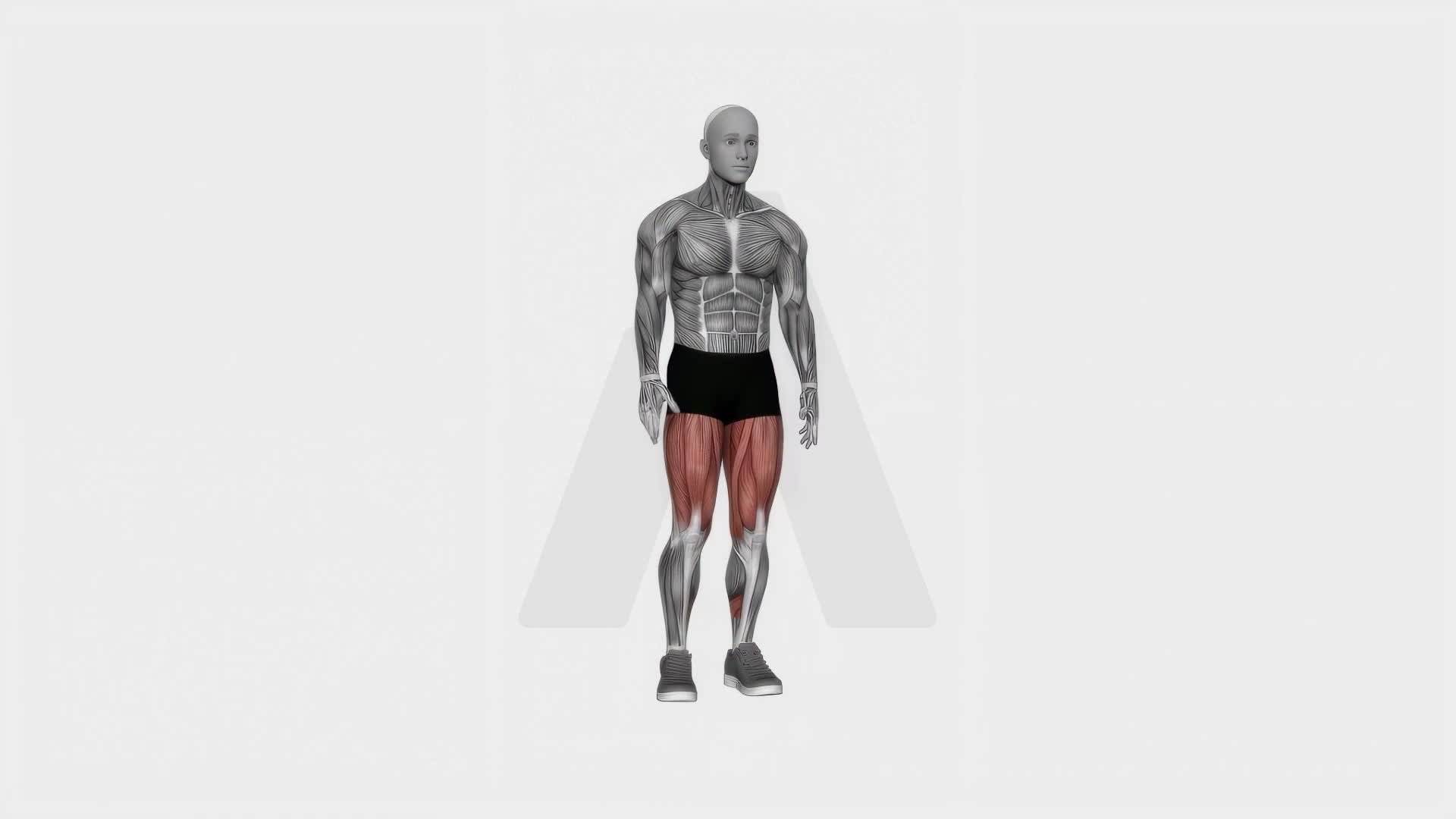 Alternate Heel Touch Side Kick Squat exercise demonstration