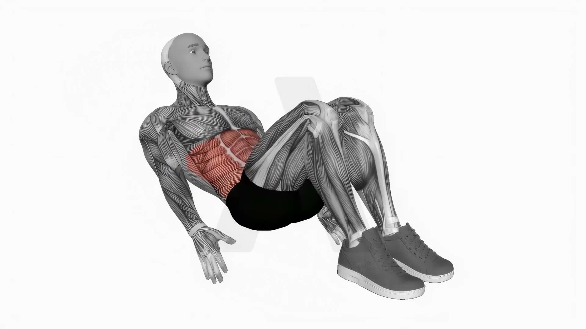 Alternate Heel Touches exercise demonstration
