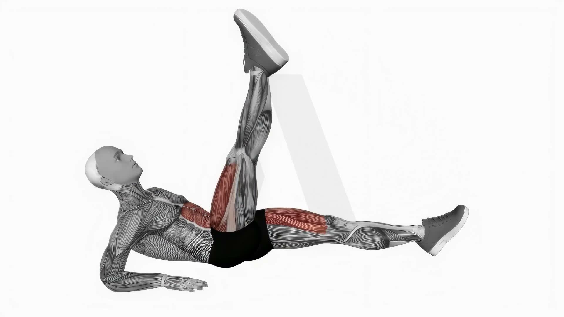 Alternate Leg Raise From Reverse Plank Position exercise demonstration