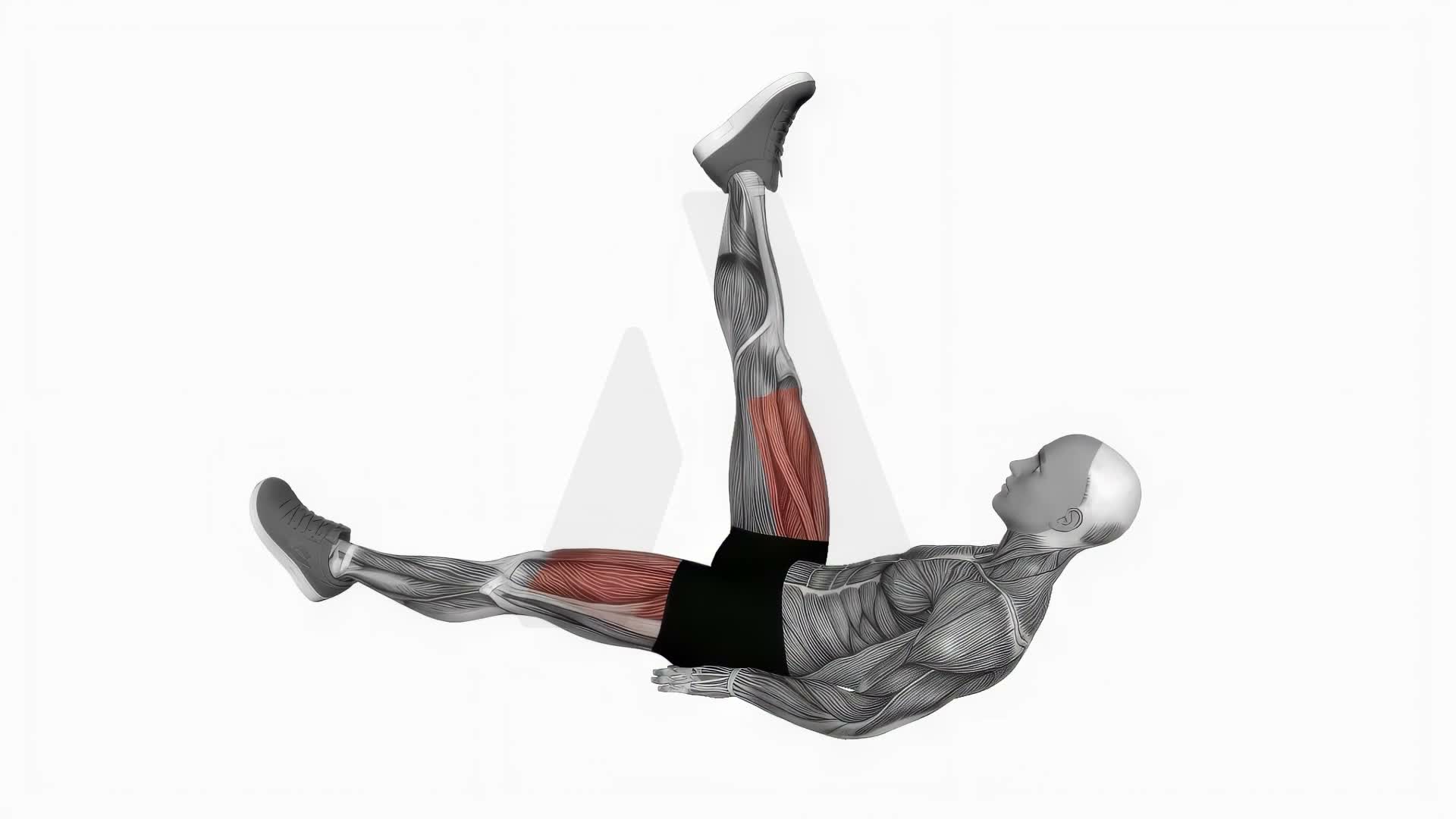Alternate Leg Raise With Head Up exercise demonstration