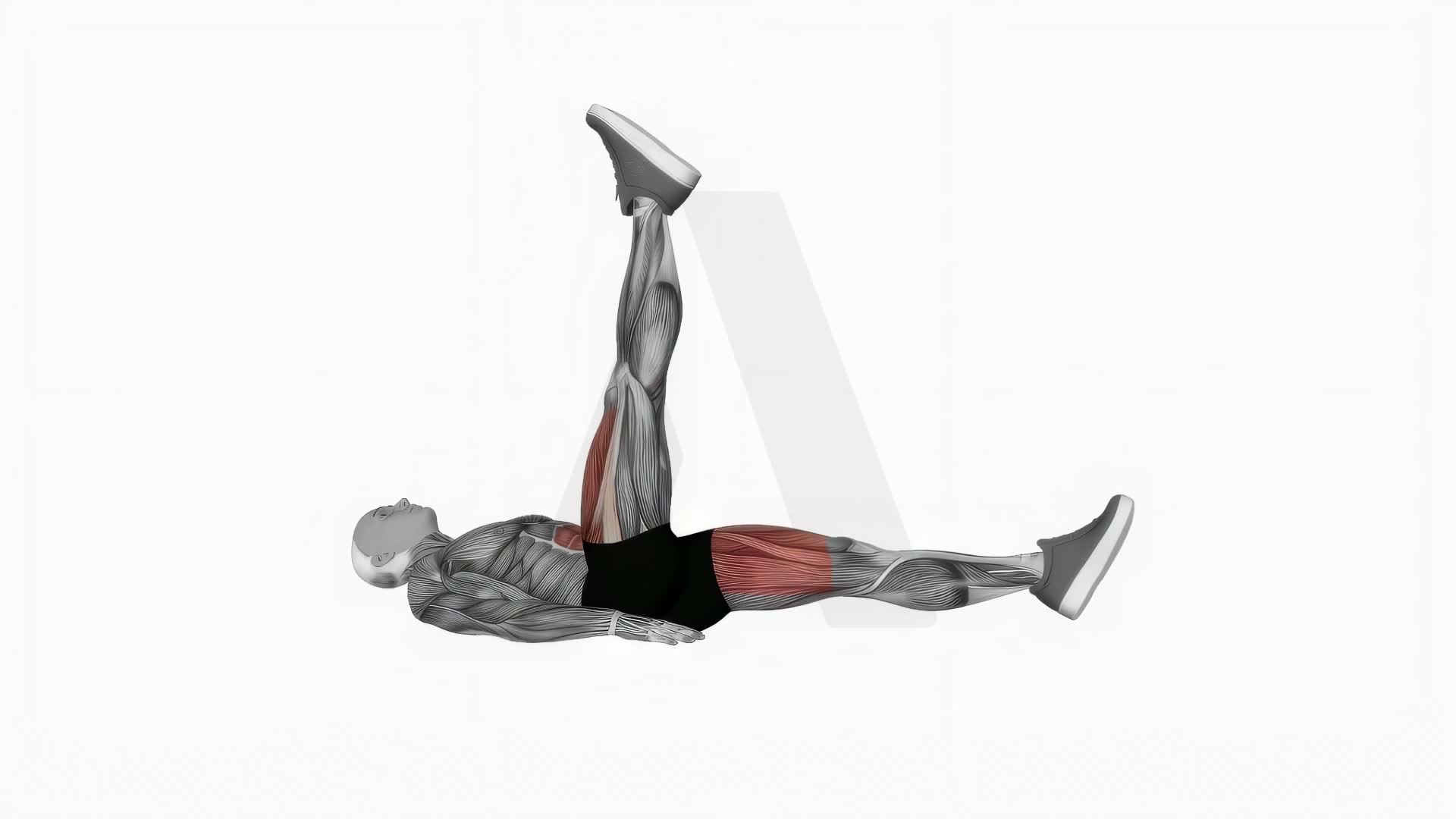 Alternate Leg Raise exercise demonstration