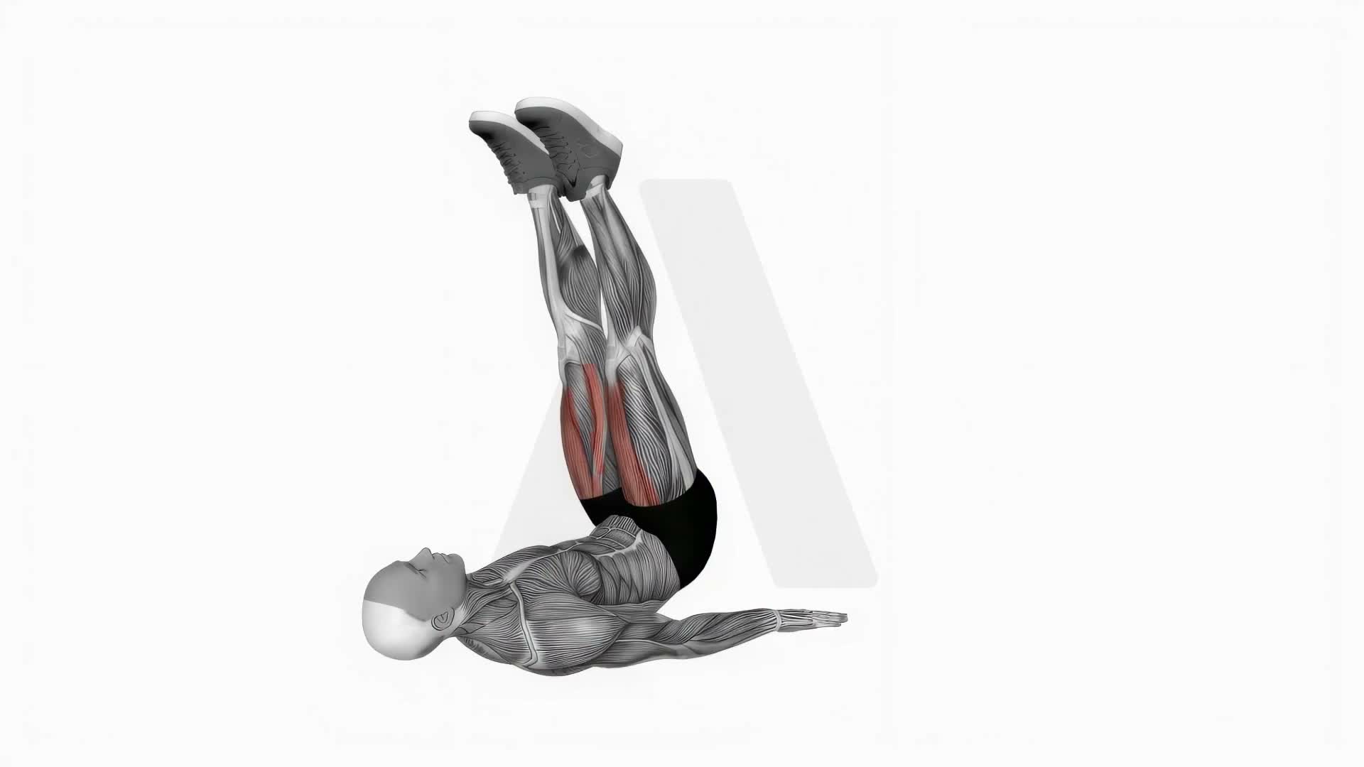 Alternate Lying Floor Leg Raise exercise demonstration