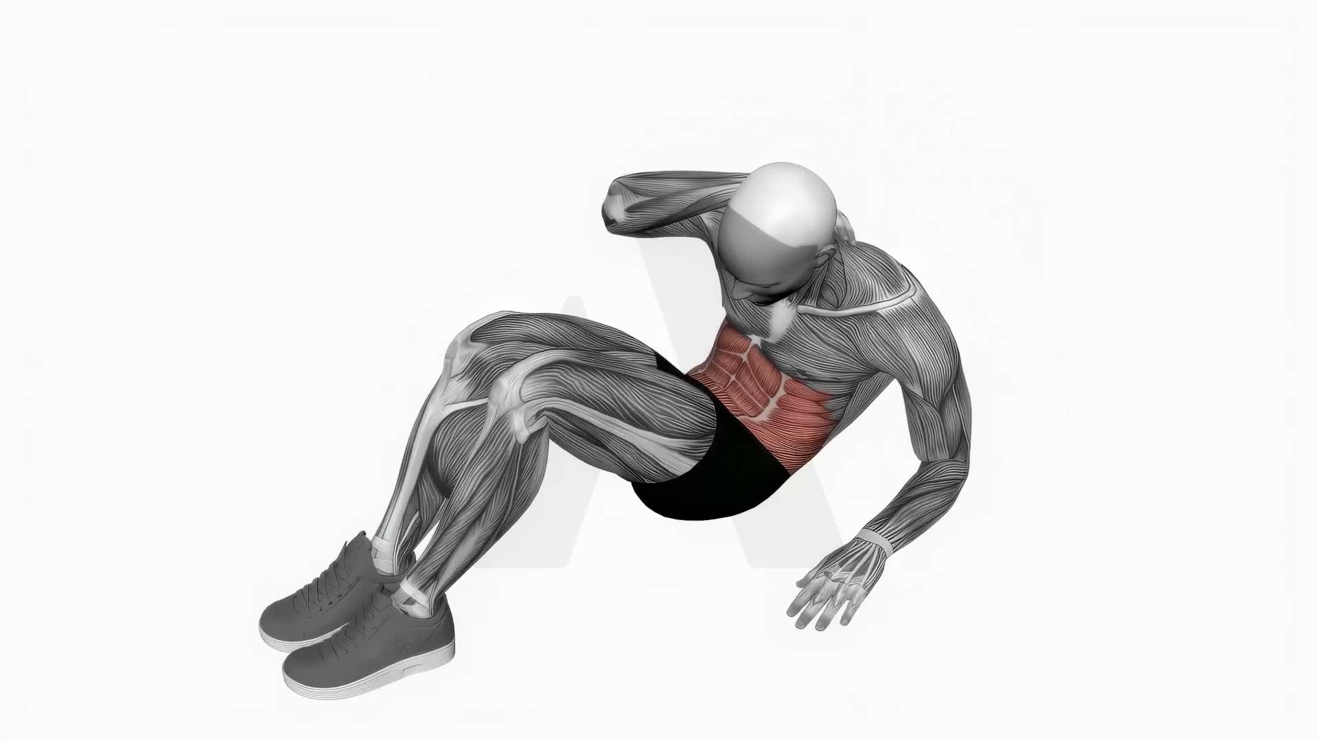 Alternate Oblique Crunch exercise demonstration