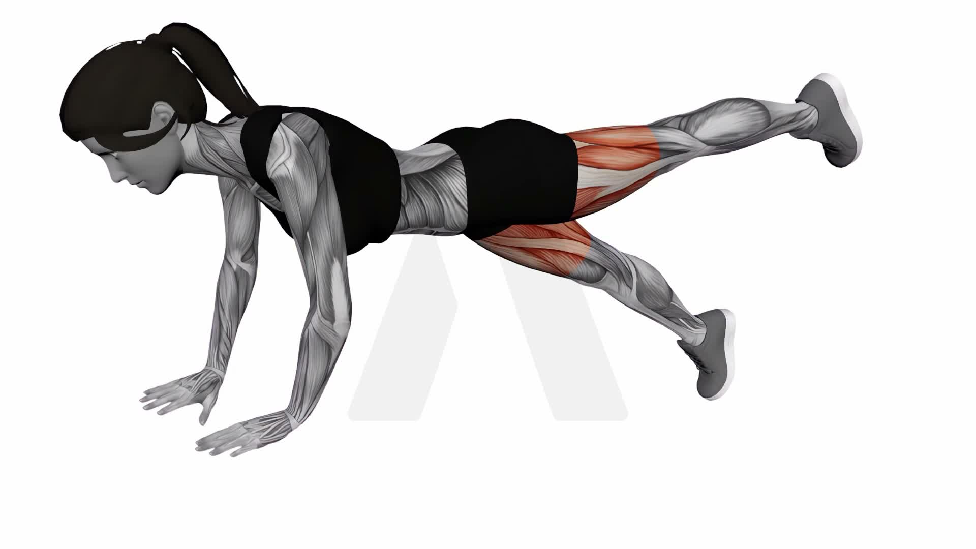 Alternate Single Leg Raise Plank exercise demonstration