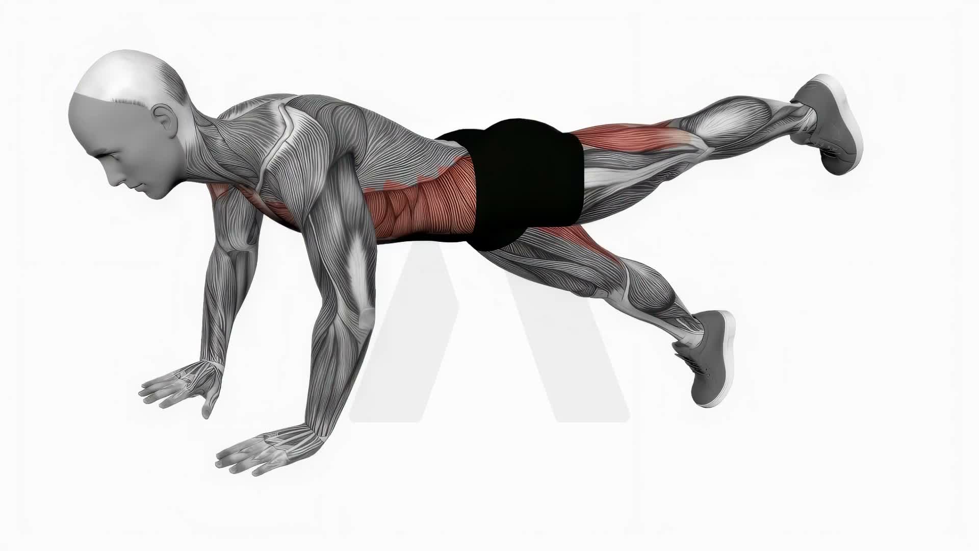 Alternate Single Leg Raises Plank exercise demonstration