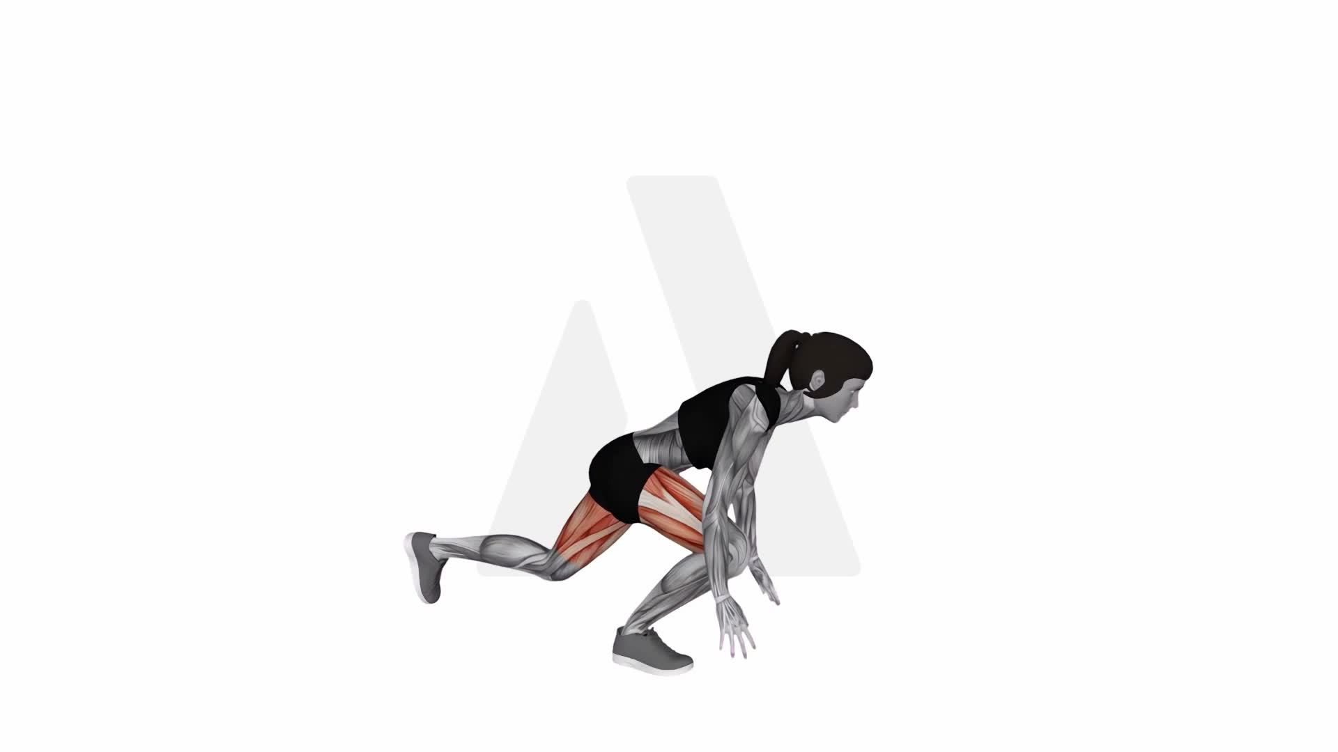 Alternate Sprinter Lunge exercise demonstration
