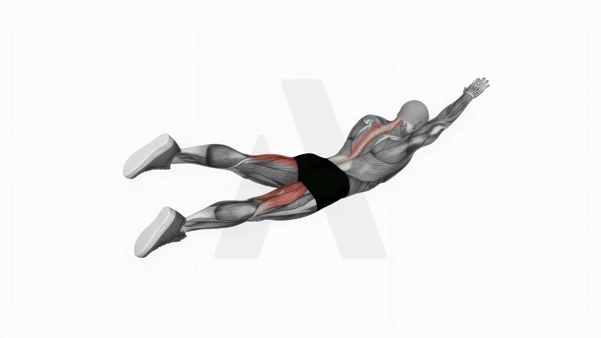 Alternate Superman exercise demonstration