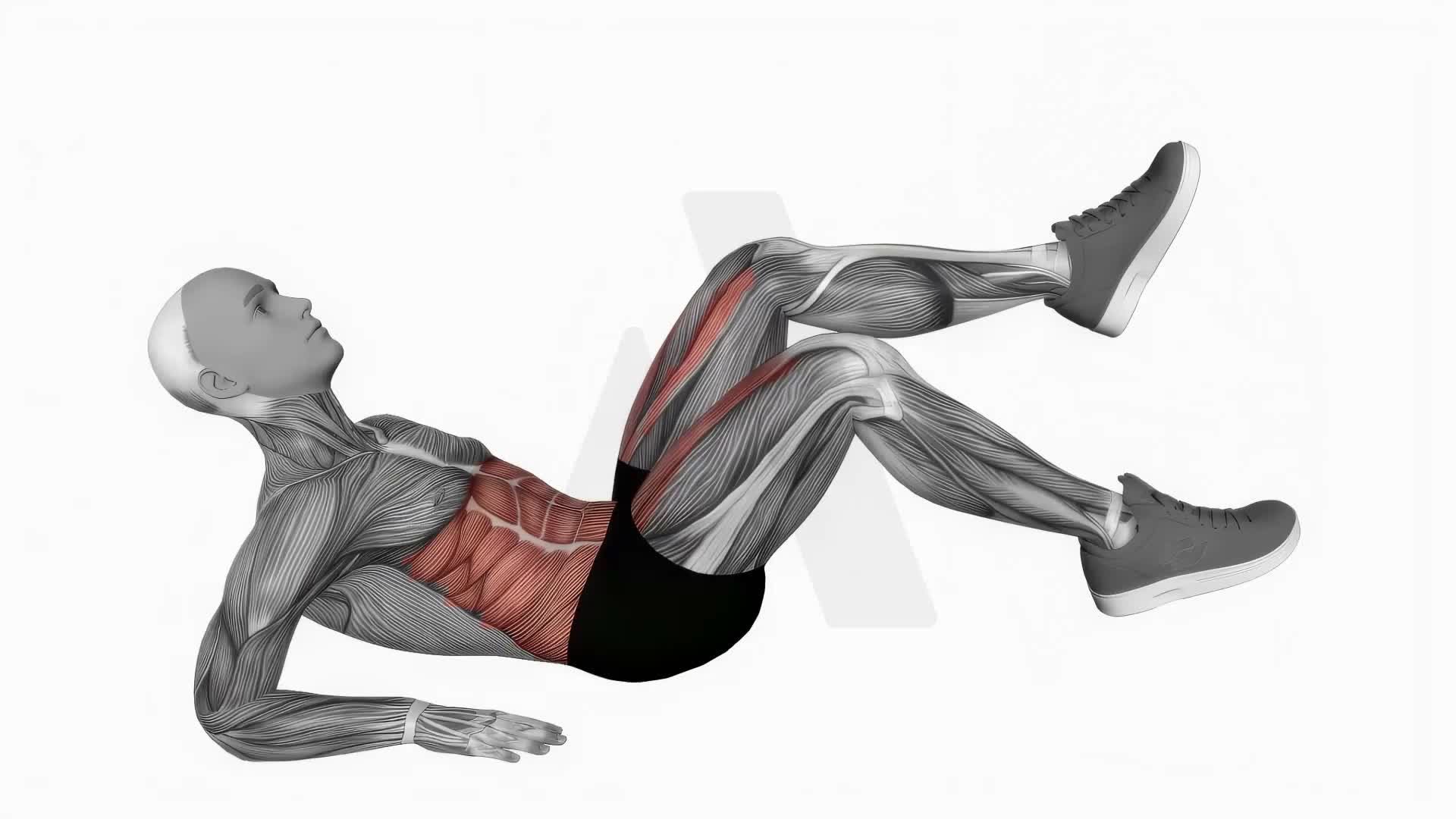 Alternate Toe Tap Leg Lift exercise demonstration