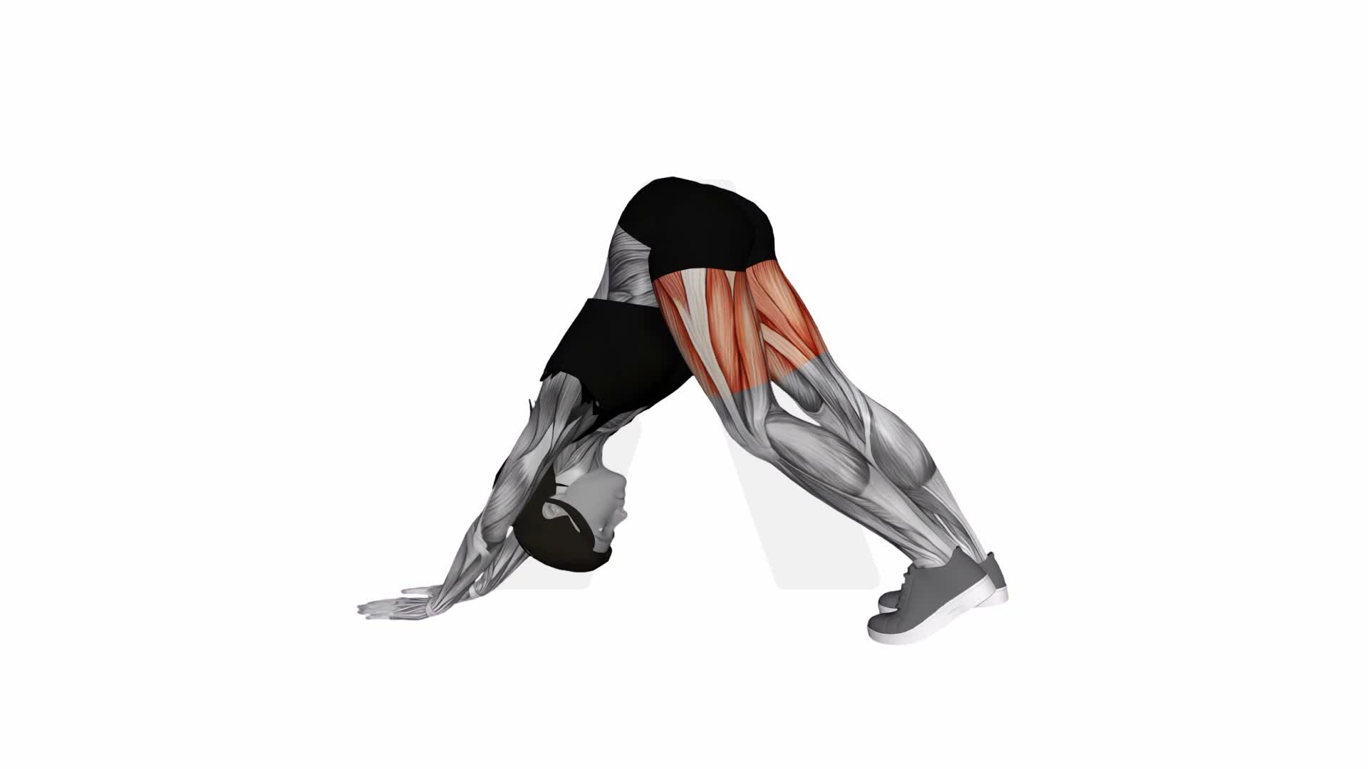 Alternating Leg Downward Dog exercise demonstration