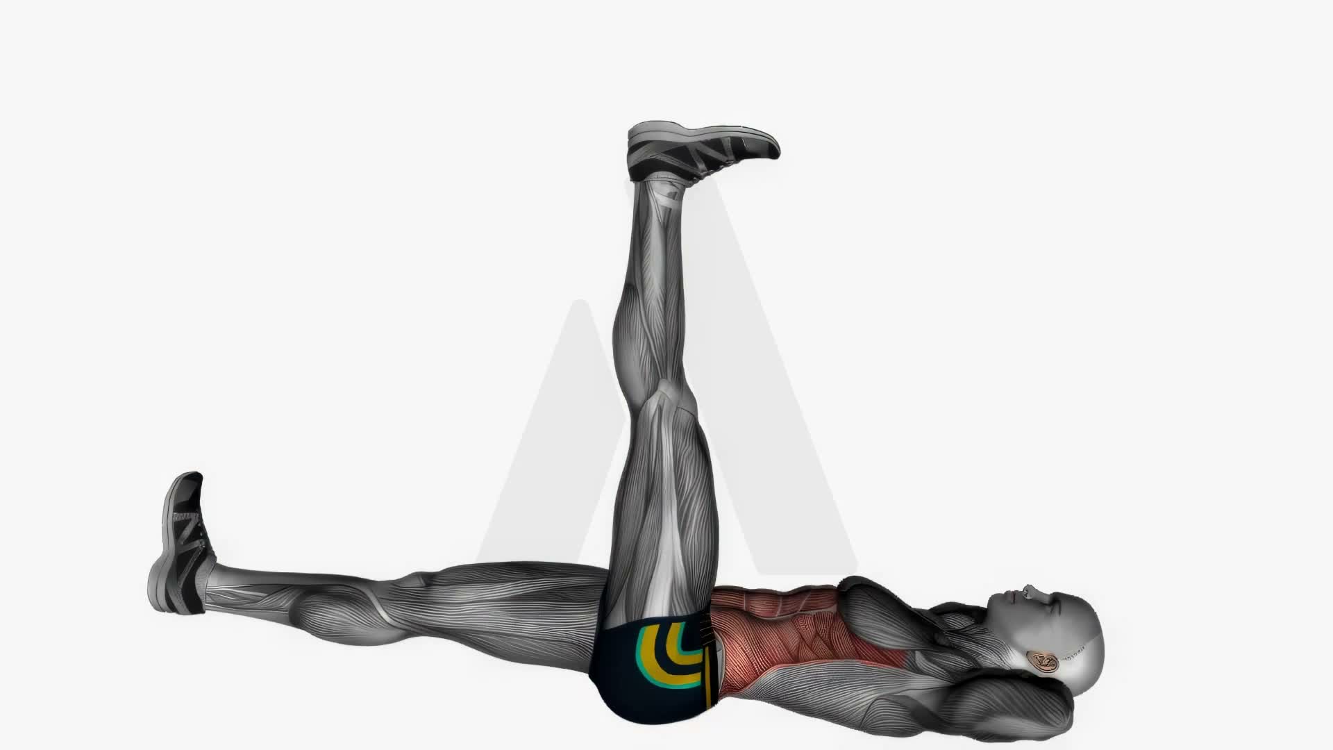 Alternating Leg Lifts exercise demonstration