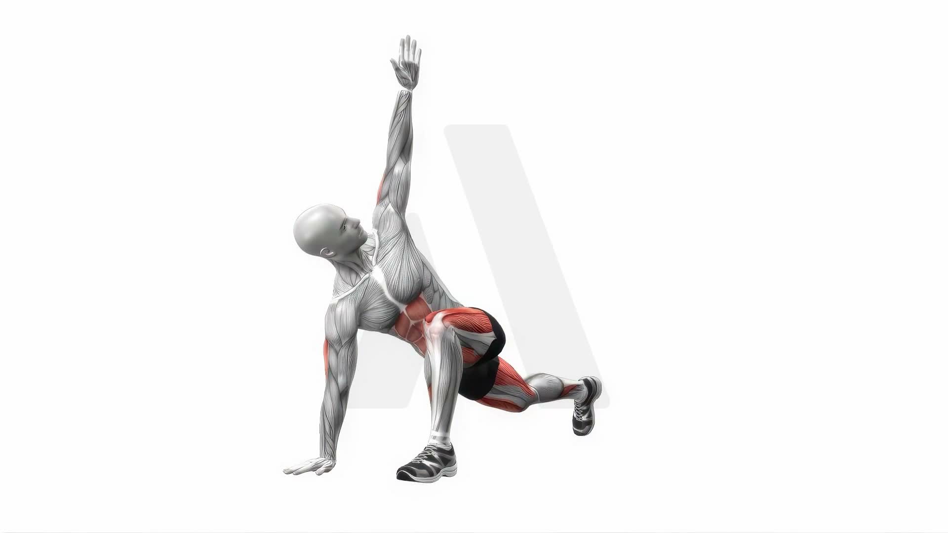 Alternating Lunge With Rotation exercise demonstration