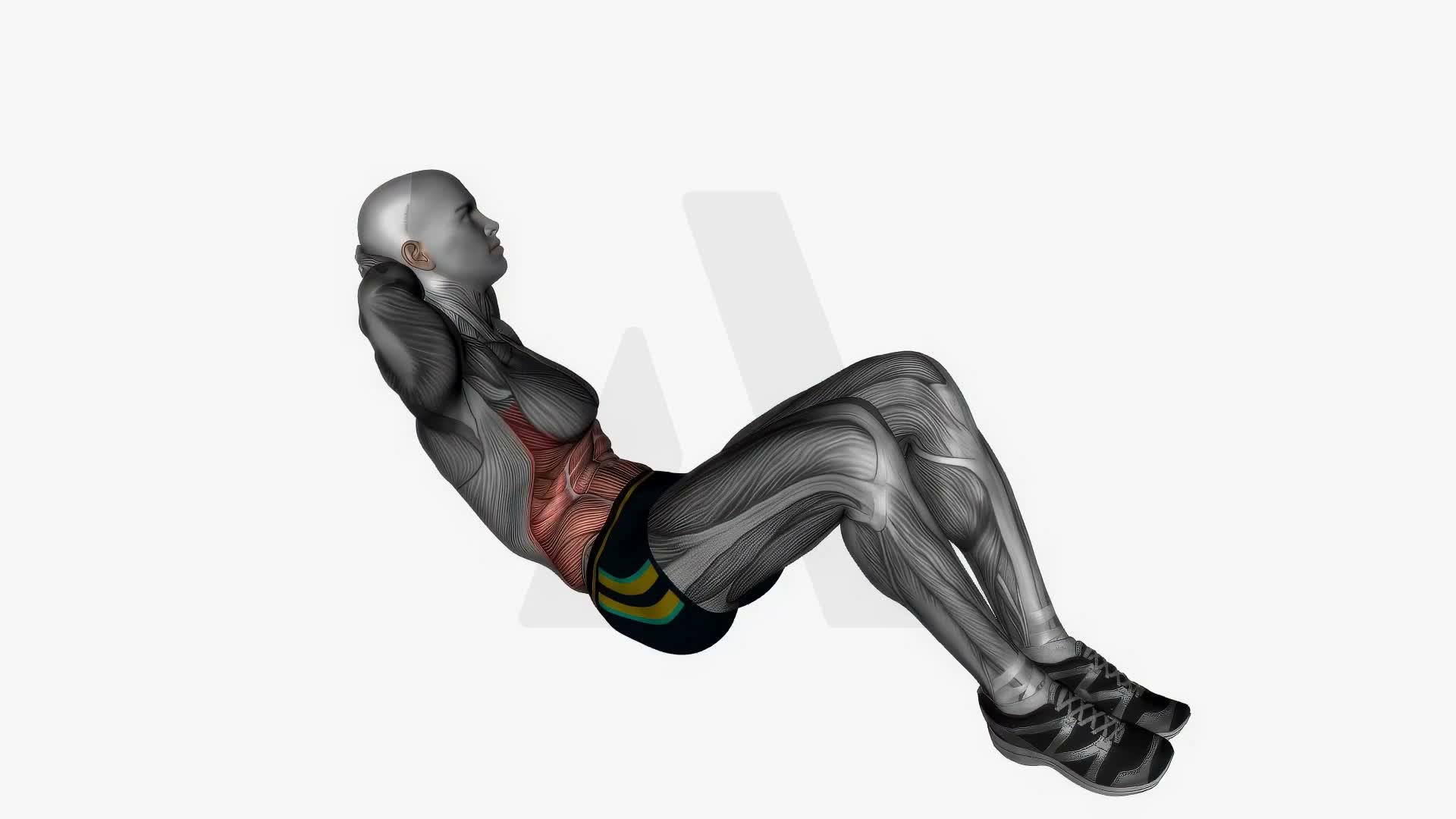 Alternating Oblique Sit Ups exercise demonstration