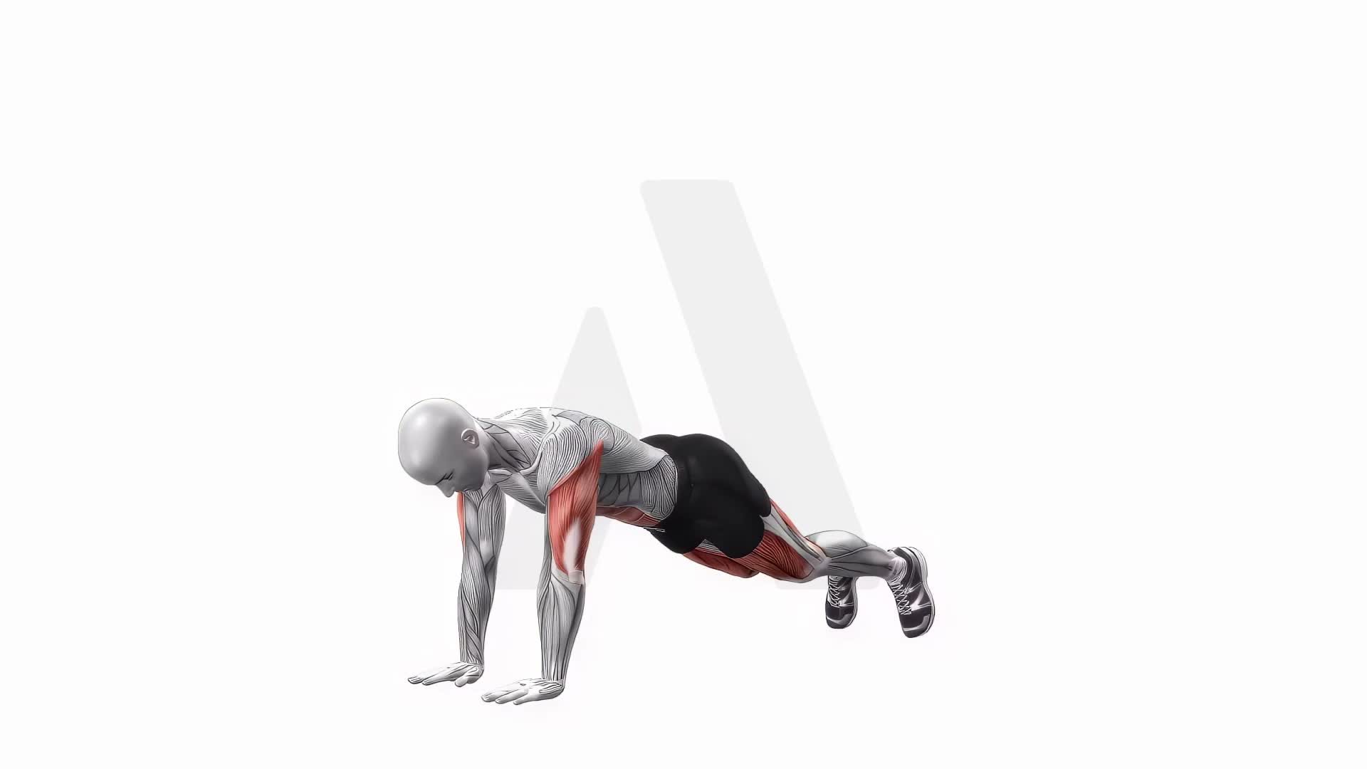 Alternating Plank Lunge exercise demonstration