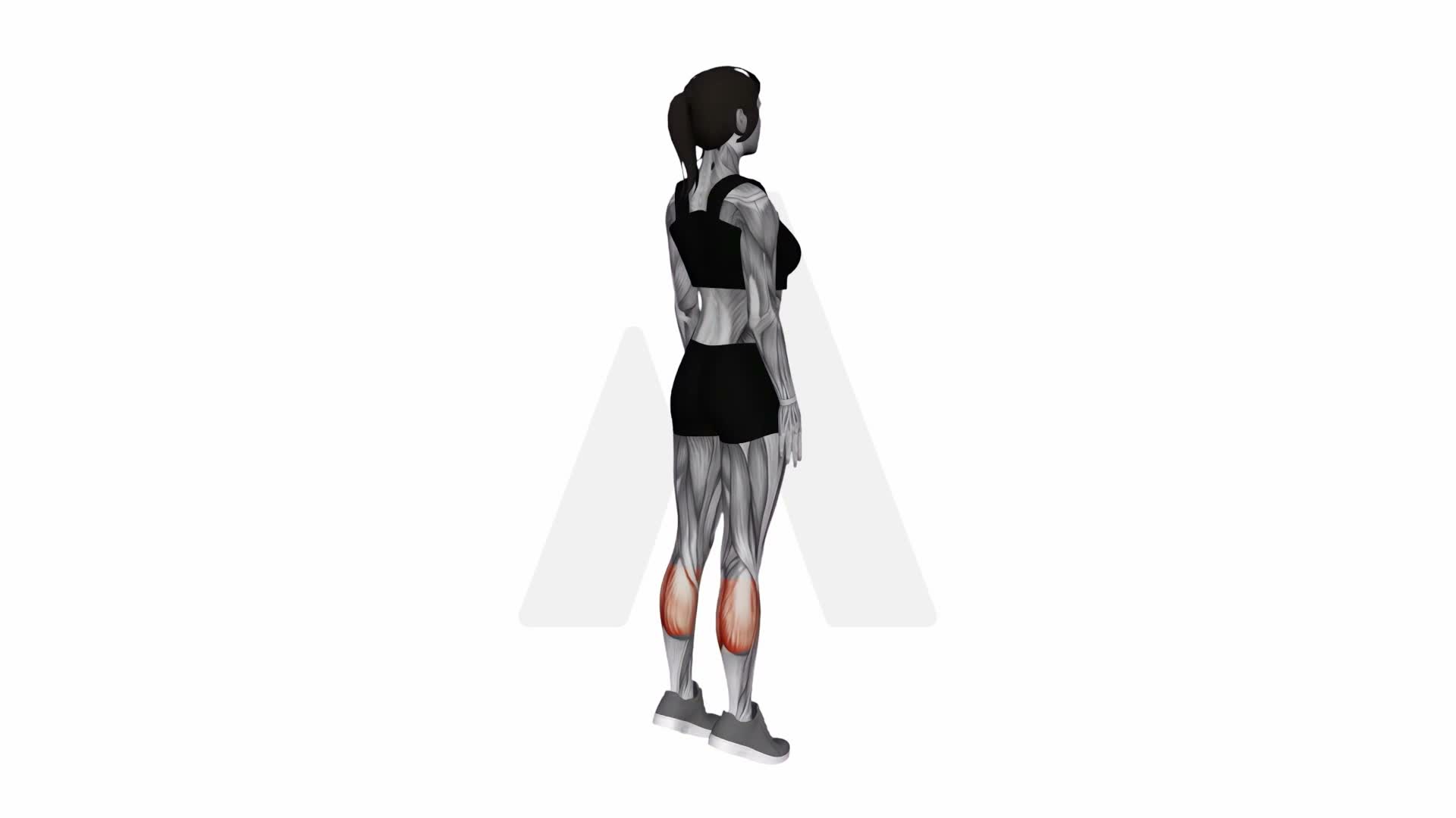 Ankle Plantar Flexion exercise demonstration
