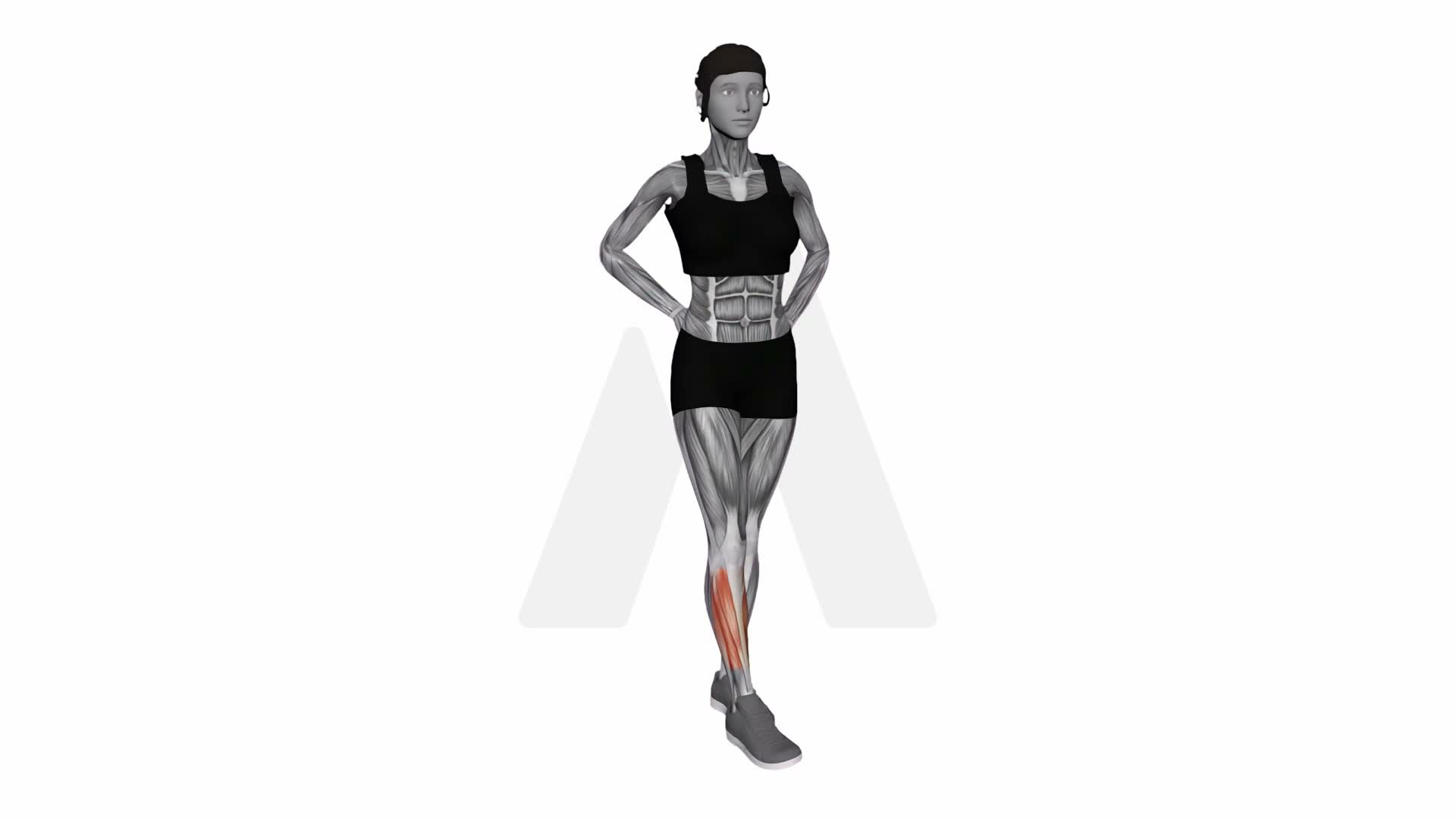Ankle Circles exercise demonstration