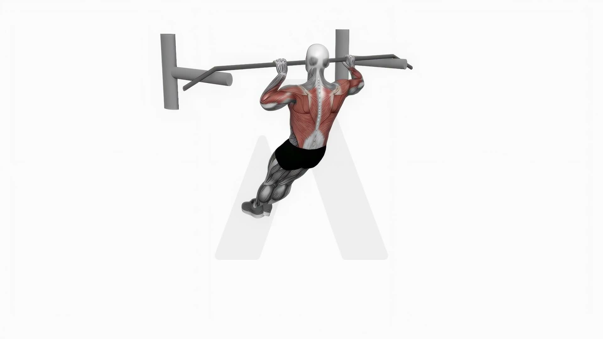 Archer Pull Up exercise demonstration
