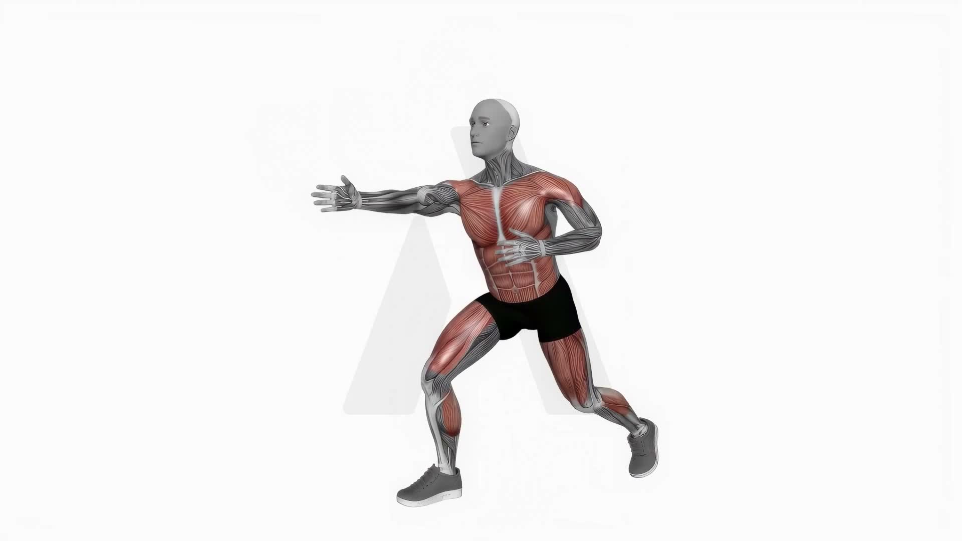 Archer Step Back exercise demonstration