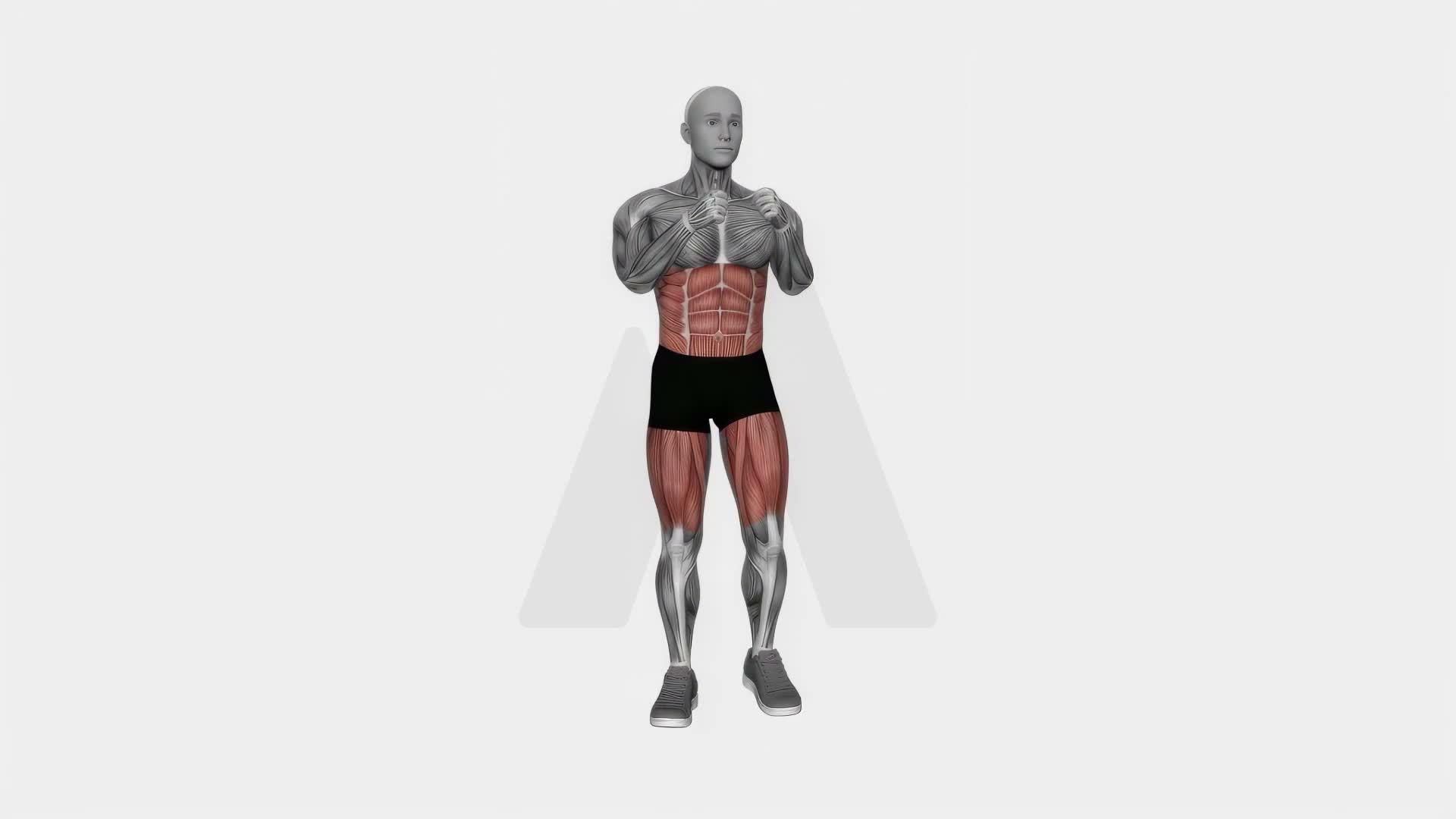 Arm Rotation Knee Lift exercise demonstration