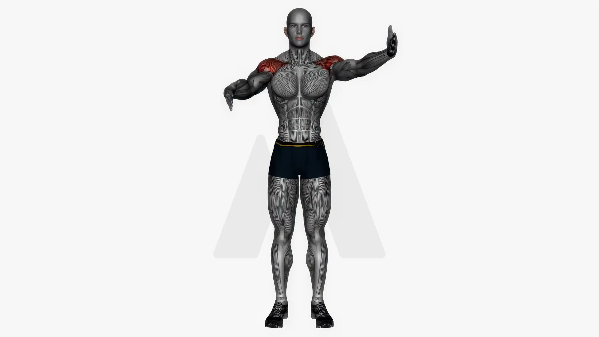 Arm Swing Side To Side exercise demonstration