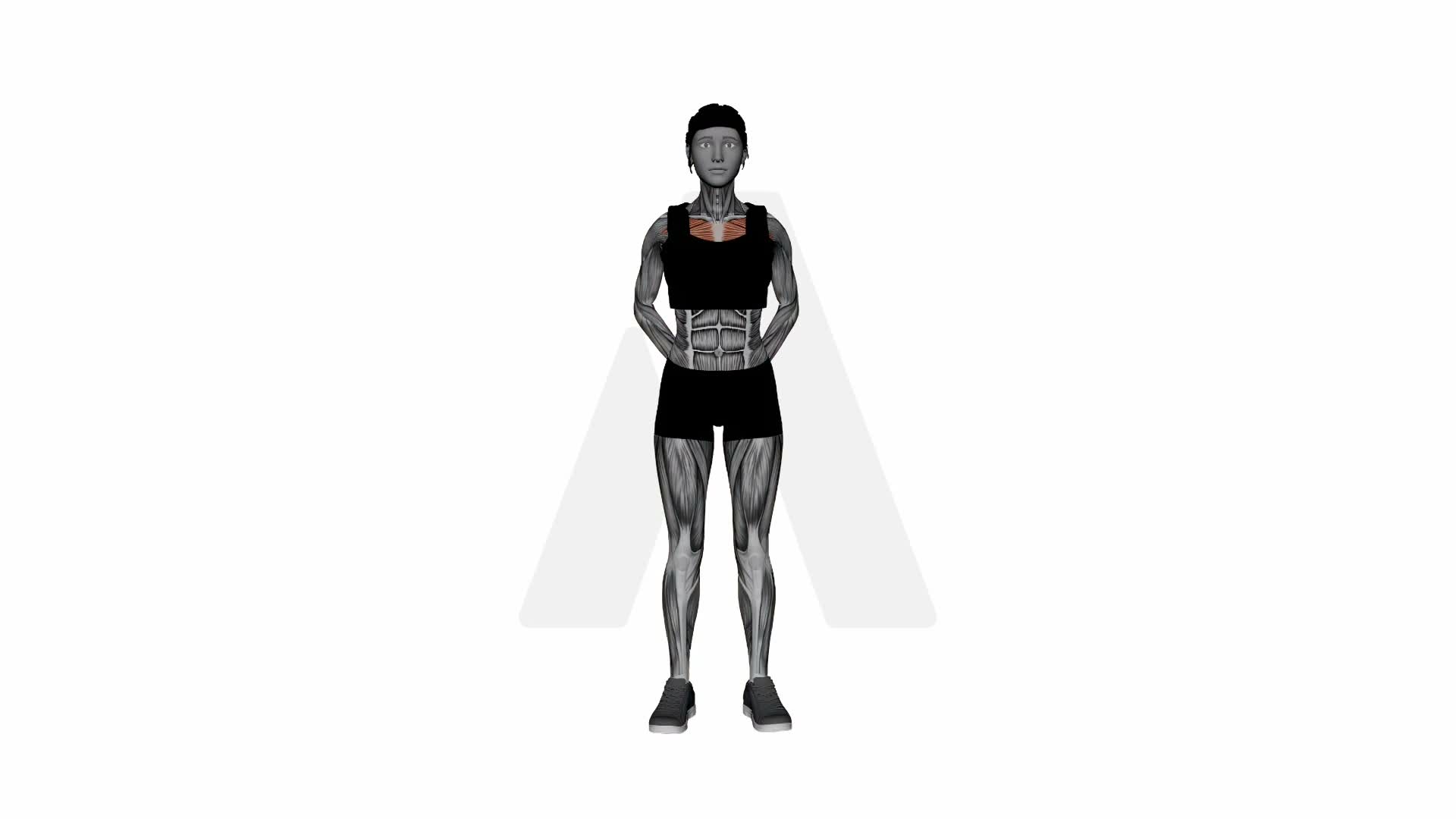 Arms Behind Back Chest Stretch exercise demonstration