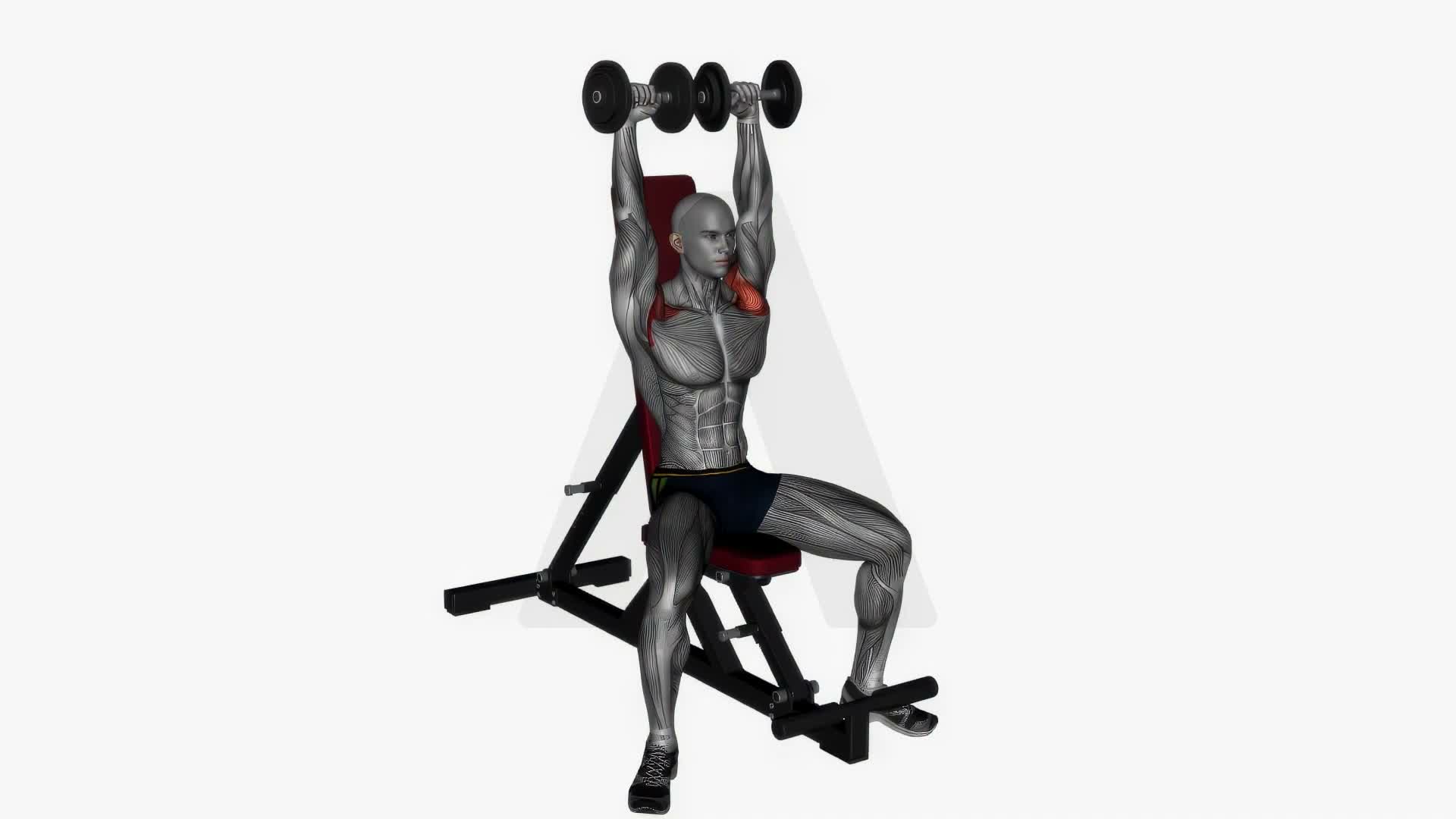 Arnold Press exercise demonstration