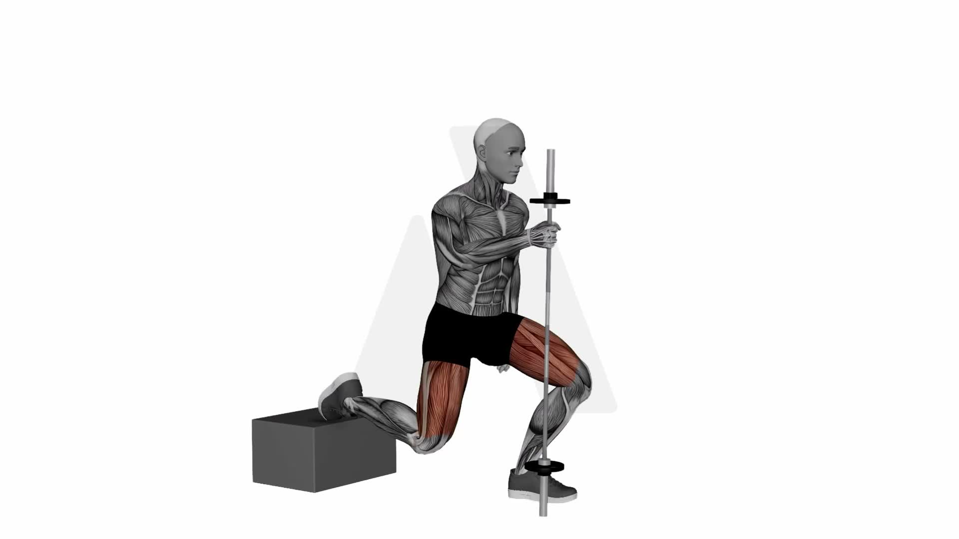 Assisted Bulgarian Split Squat exercise demonstration