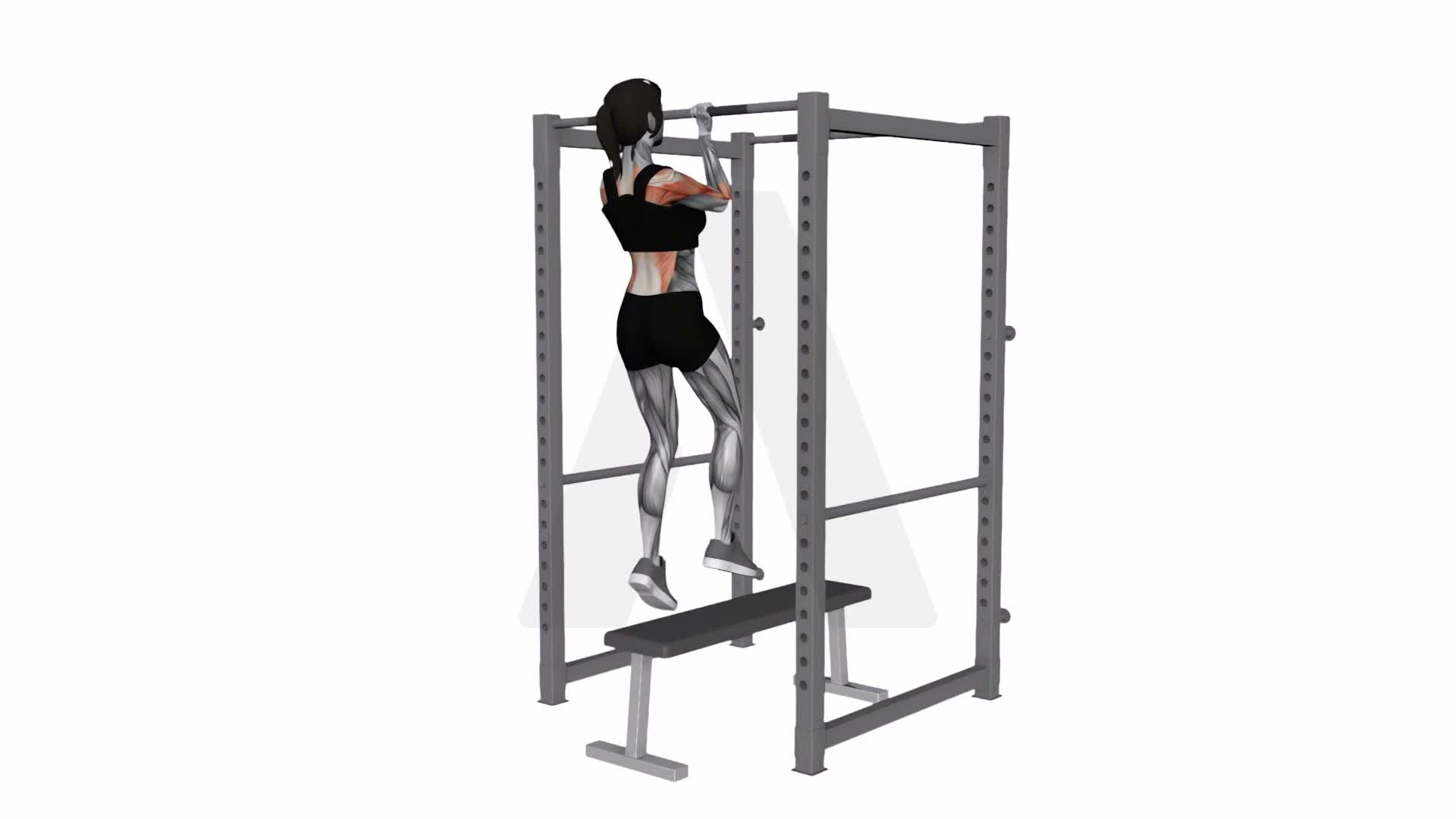 Assisted Chin Up On A Bench exercise demonstration