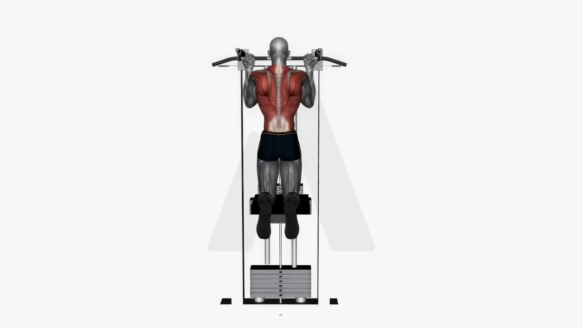 Assisted Chin Up Reverse Wide Grip exercise demonstration
