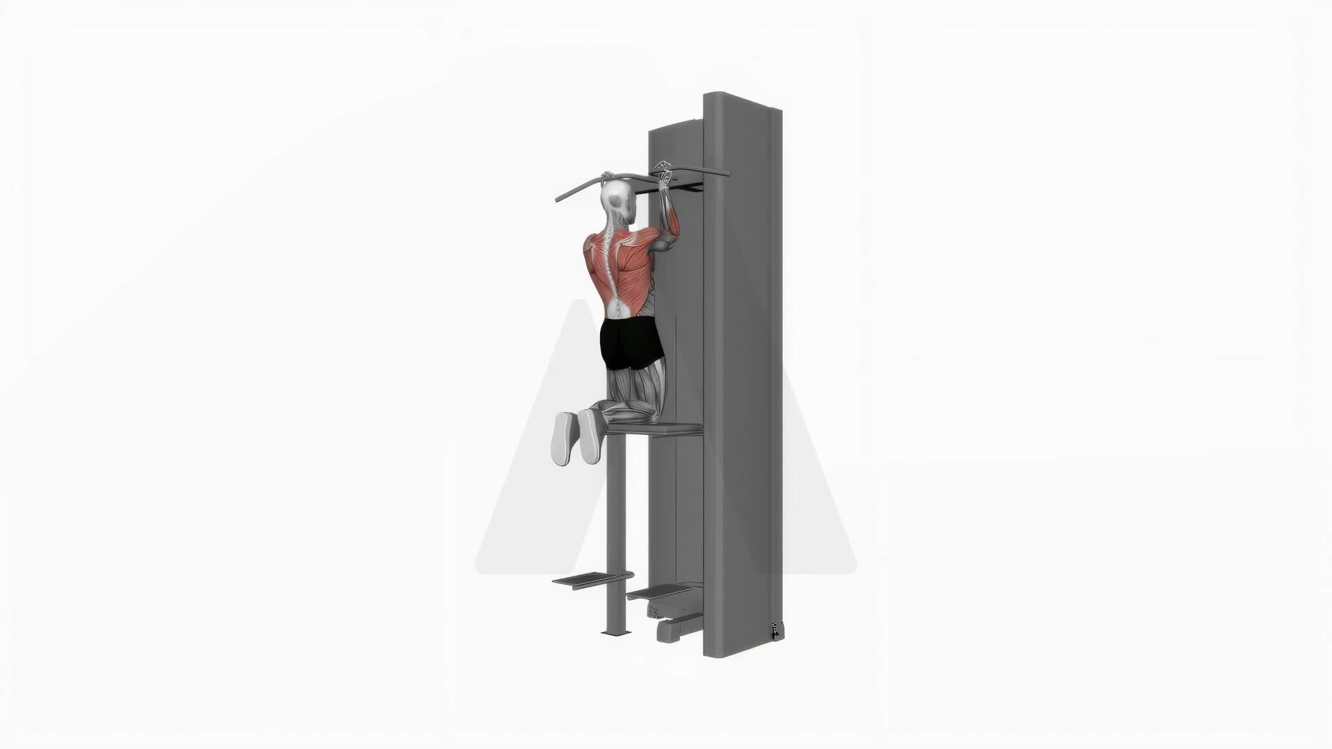 Assisted Close Grip Underhand Chin Up exercise demonstration
