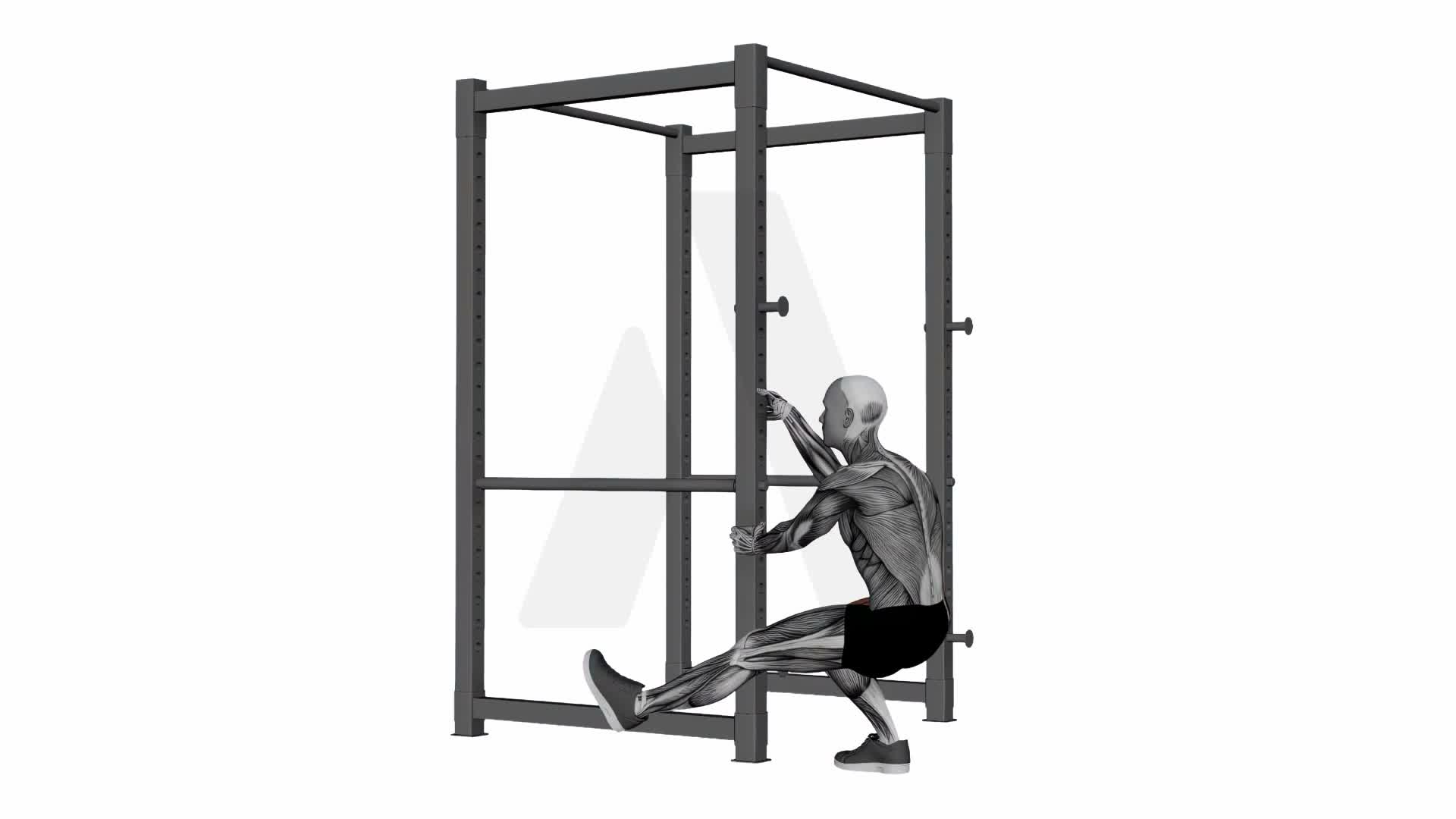 Assisted Pistol Squats exercise demonstration