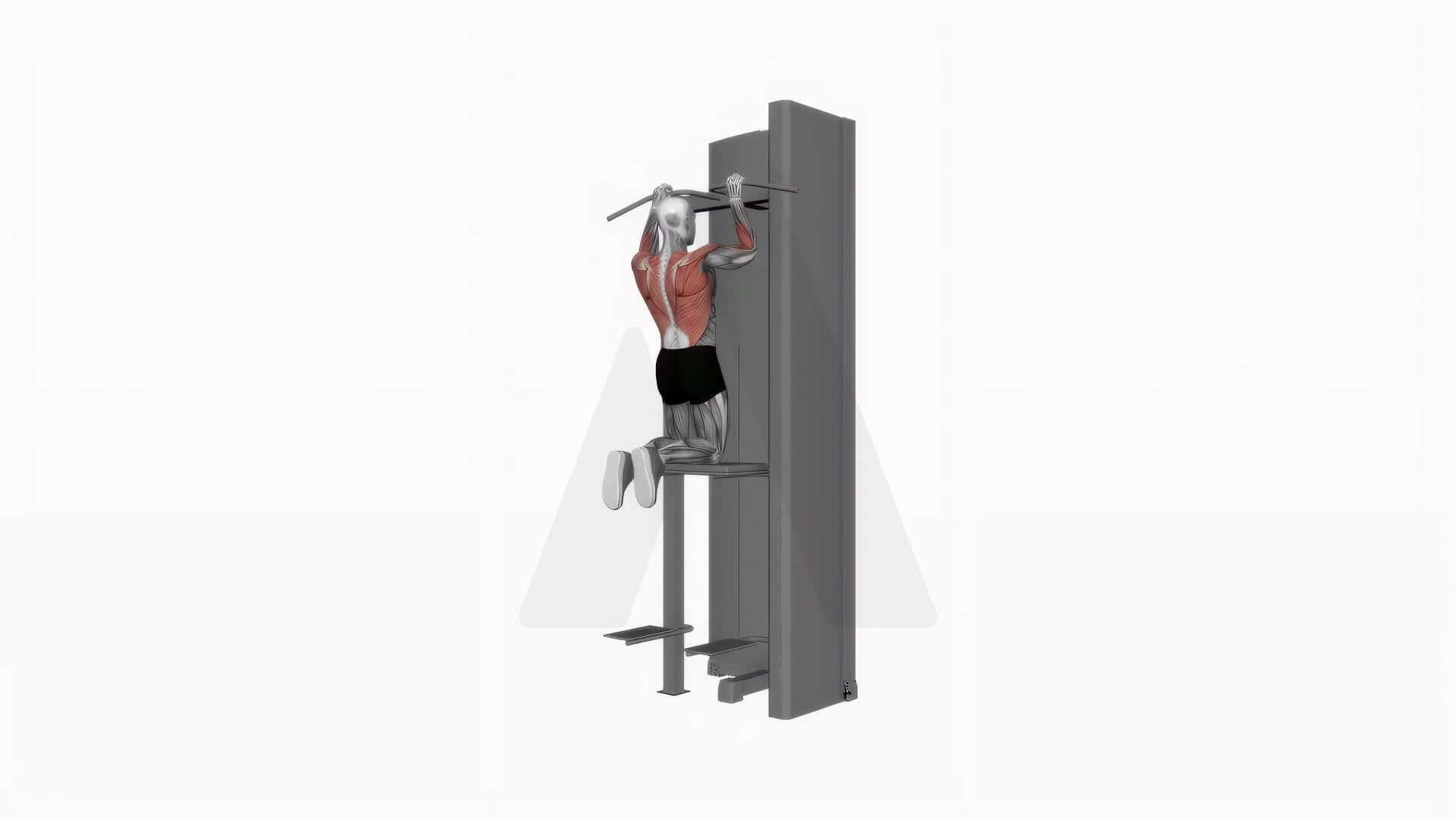 Assisted Pull Up exercise demonstration