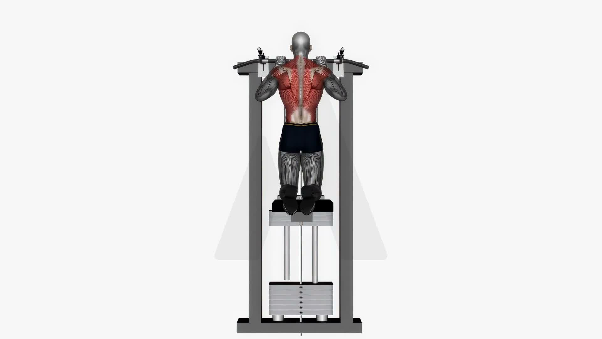 Assisted Pull Up Close Grip exercise demonstration