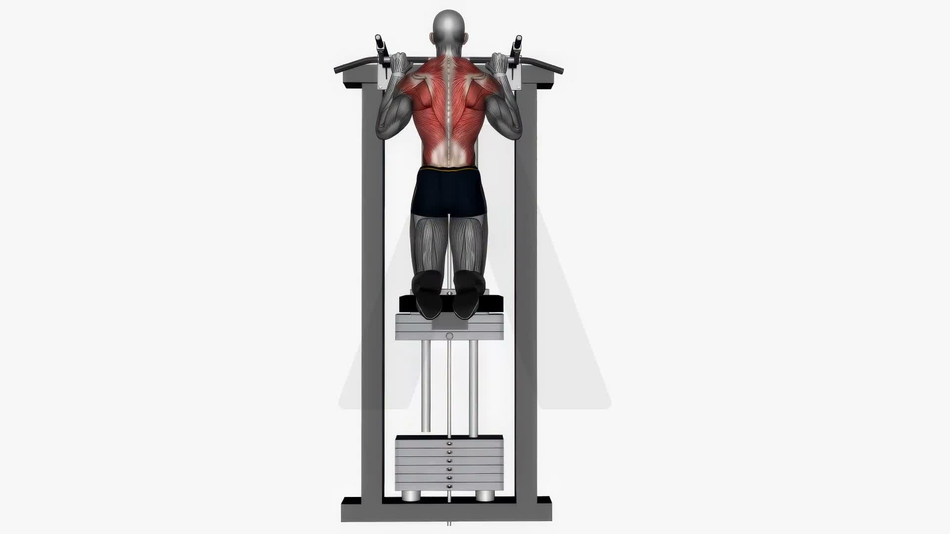 Assisted Pull Up Normal Grip exercise demonstration
