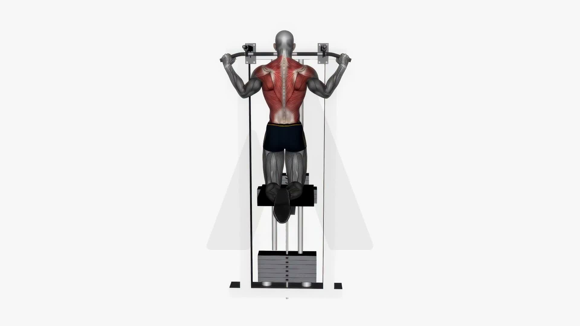 Assisted Pull Up Wide Grip exercise demonstration
