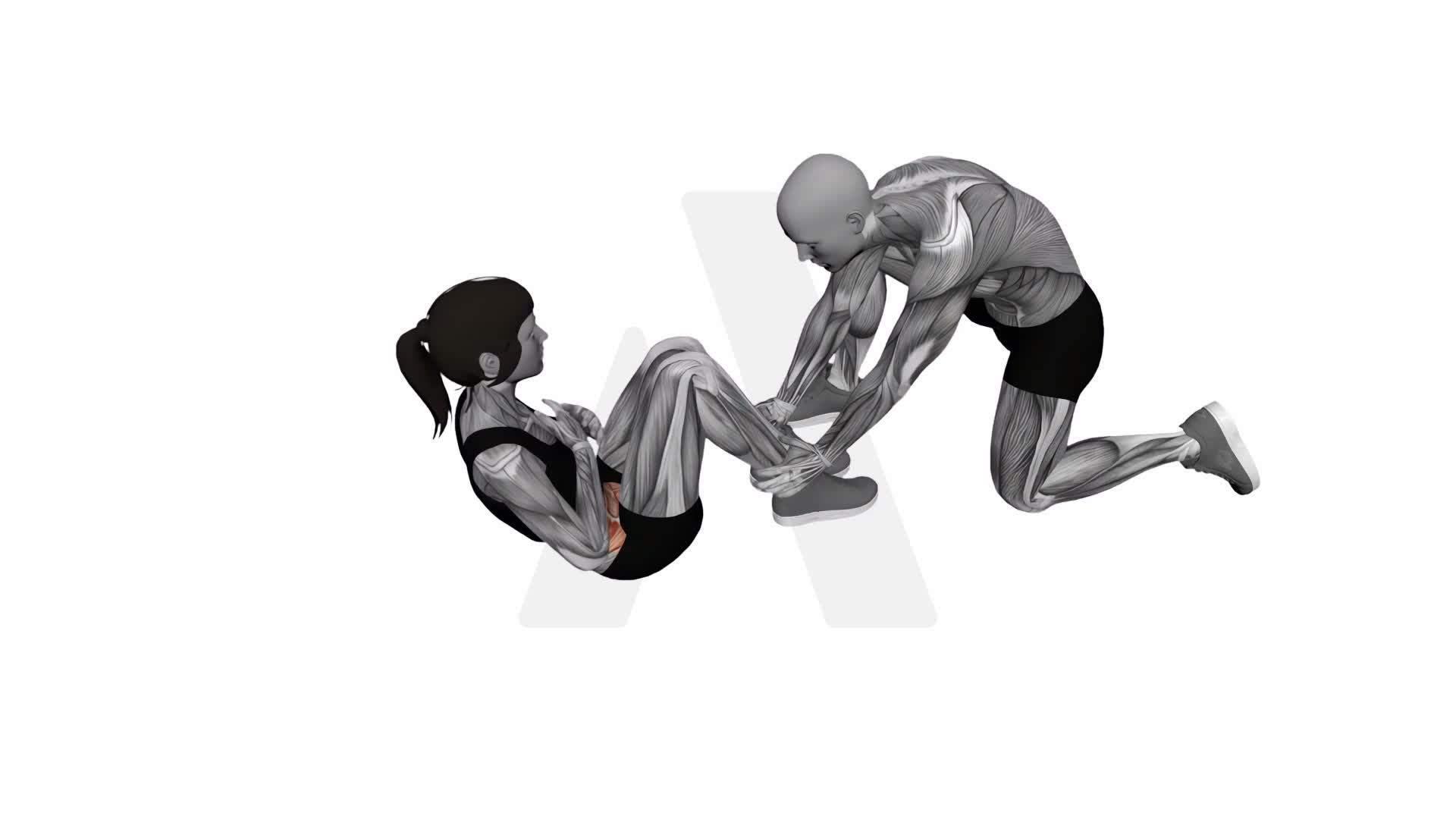 Assisted Sit Up exercise demonstration