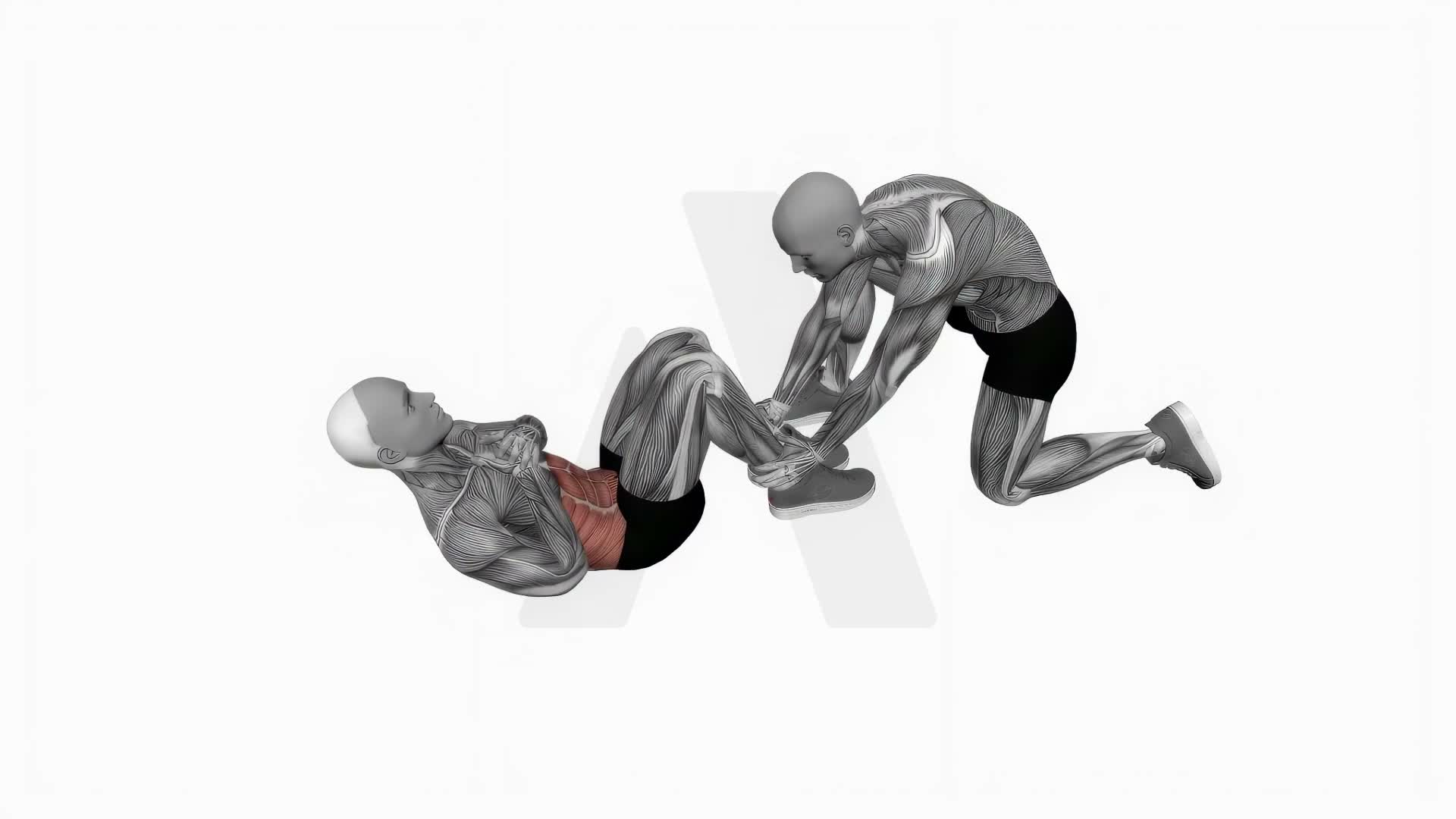 Assisted Sit Ups exercise demonstration