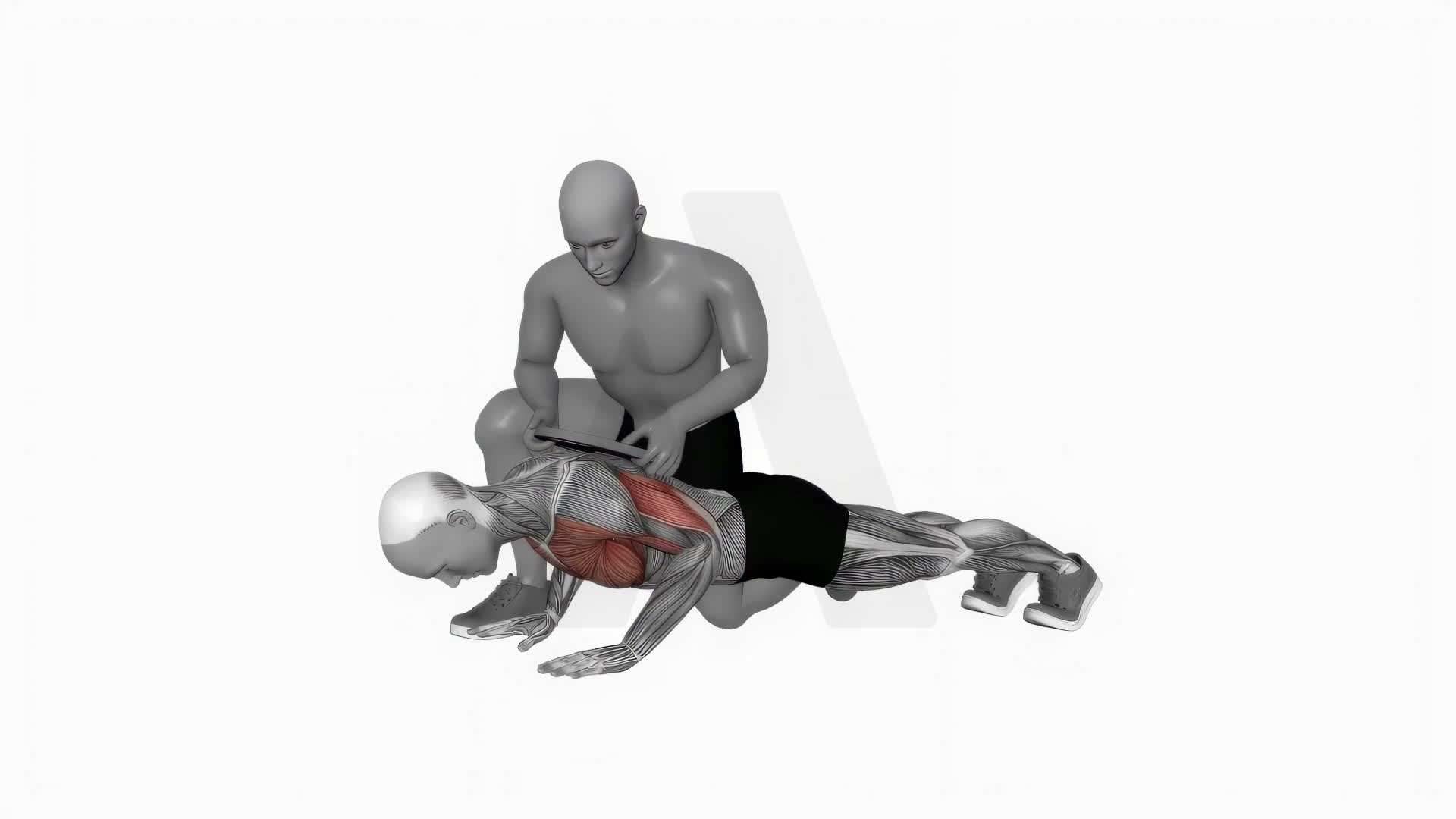 Assisted Weighted Push Up exercise demonstration