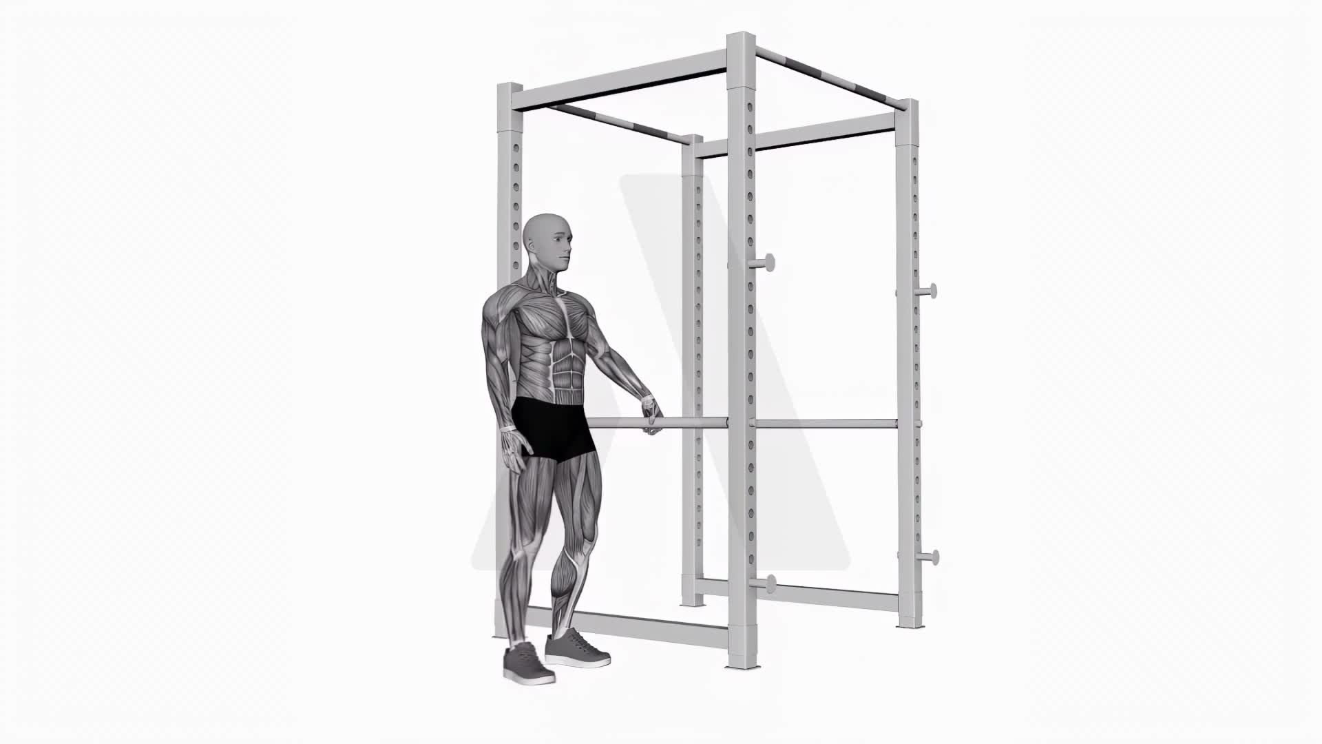 Back And Forward Leg Swings exercise demonstration
