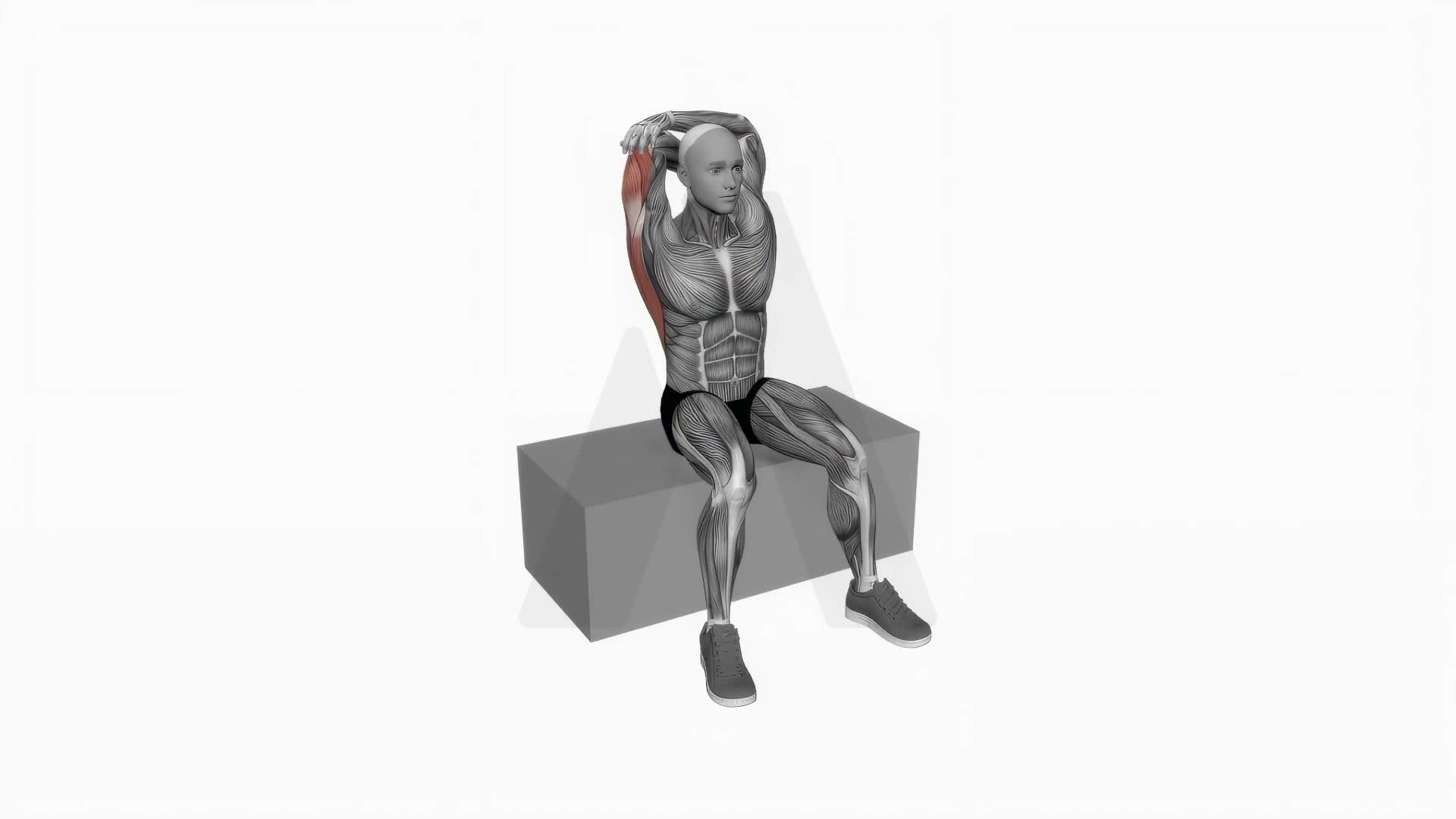 Back And Shoulder Stretch exercise demonstration