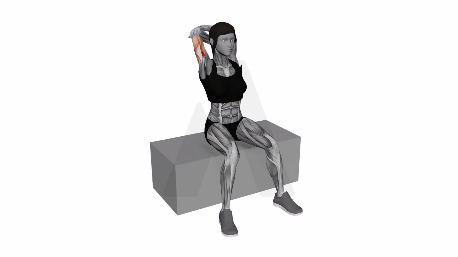 Back And Shoulders Stretch exercise demonstration