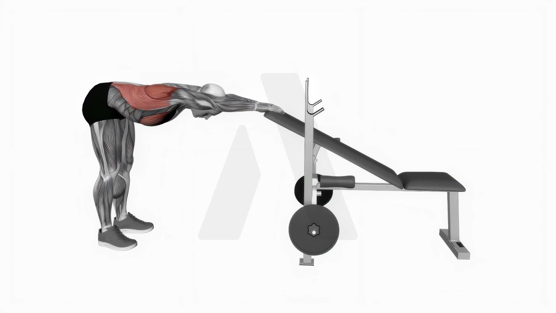 Back Pec Stretch exercise demonstration